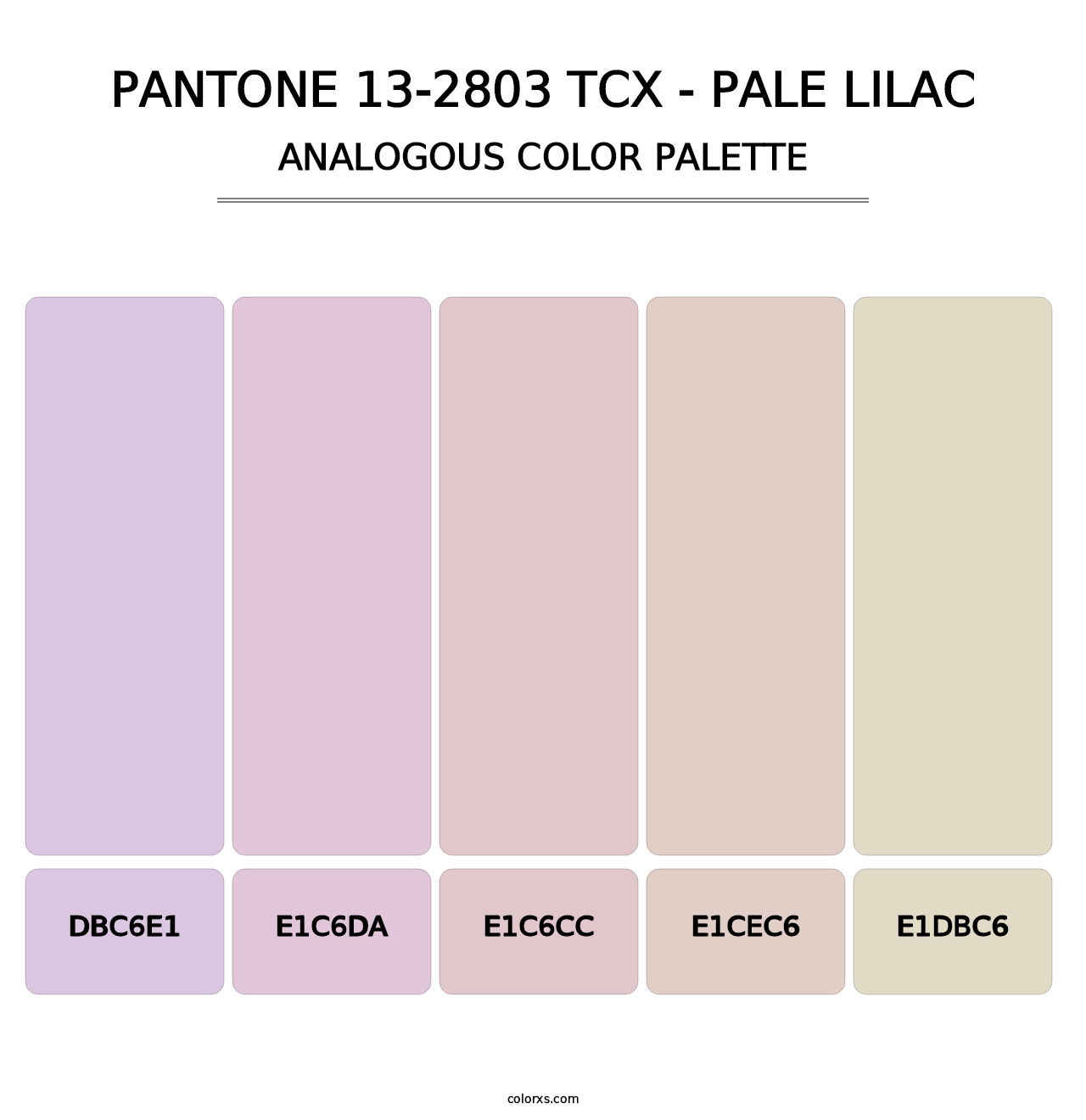 PANTONE 13-2803 TCX - Pale Lilac - Analogous Color Palette