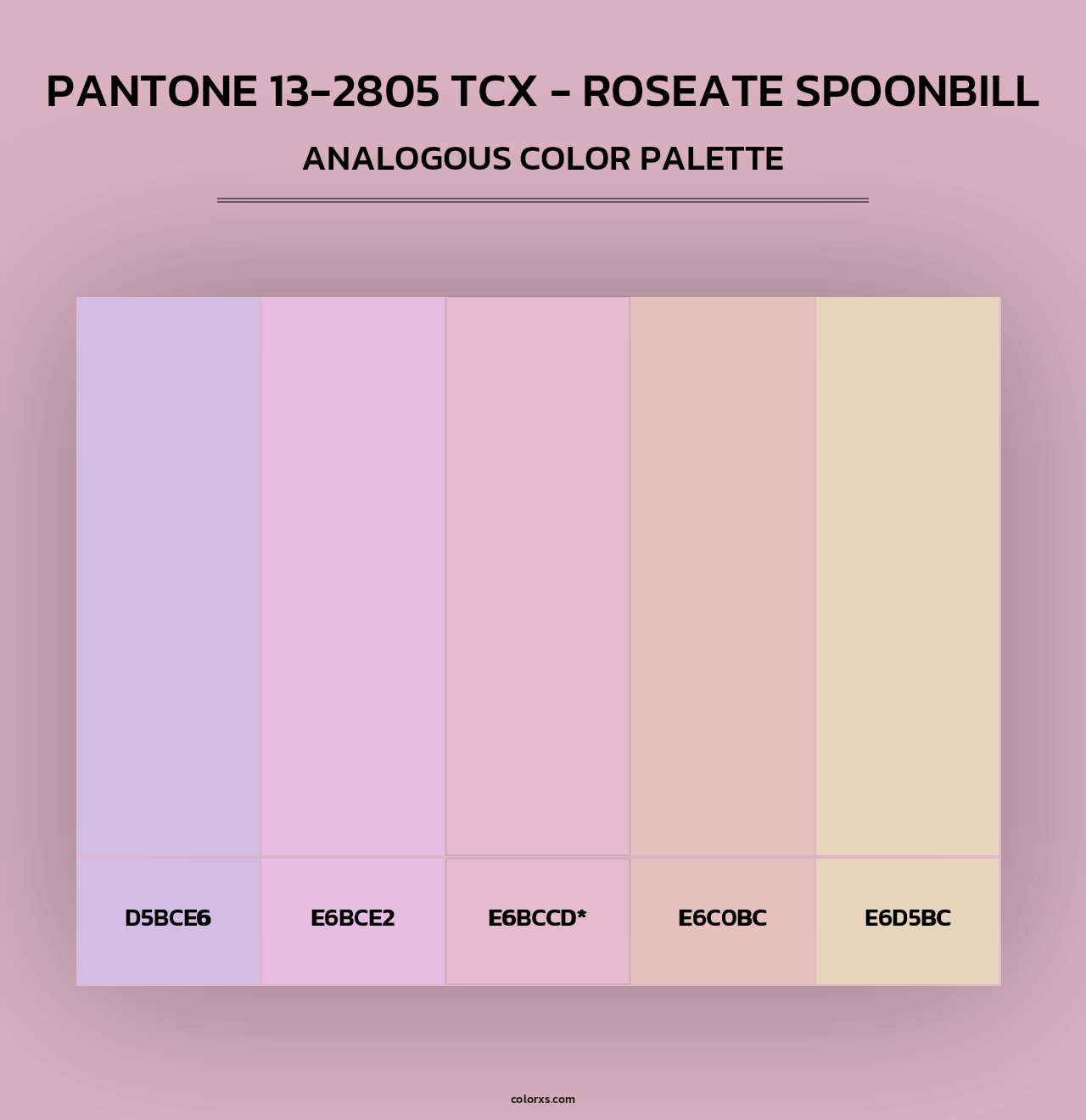 PANTONE 13-2805 TCX - Roseate Spoonbill - Analogous Color Palette