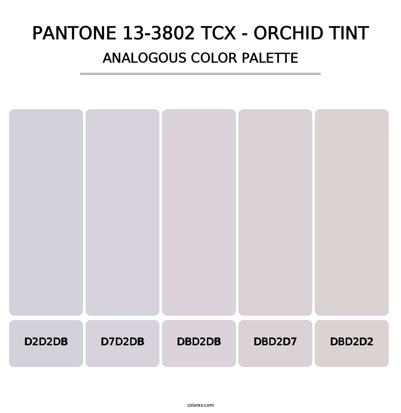 PANTONE 13-3802 TCX - Orchid Tint - Analogous Color Palette