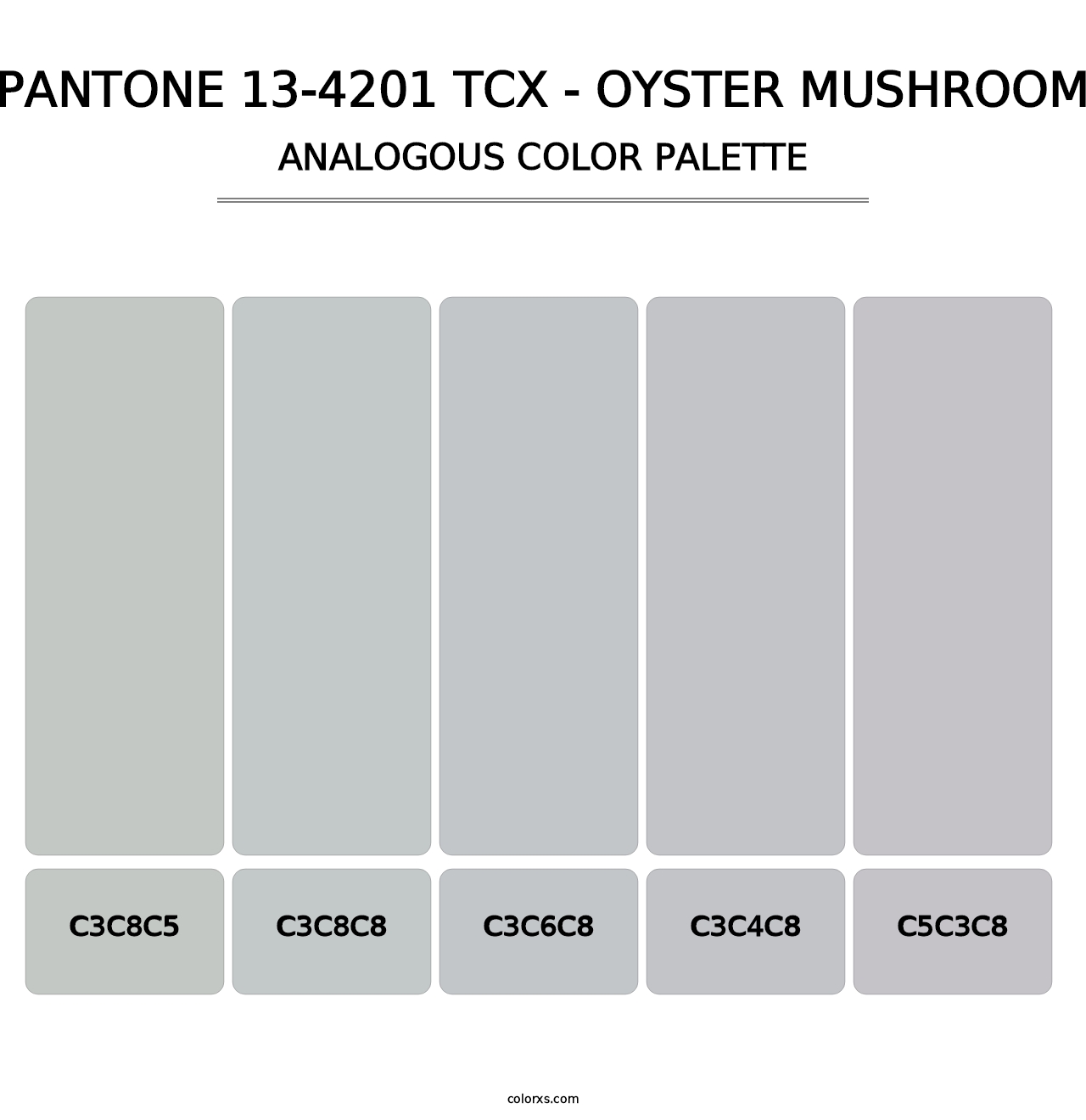 PANTONE 13-4201 TCX - Oyster Mushroom - Analogous Color Palette