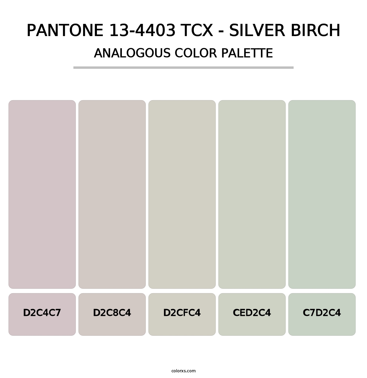 PANTONE 13-4403 TCX - Silver Birch - Analogous Color Palette