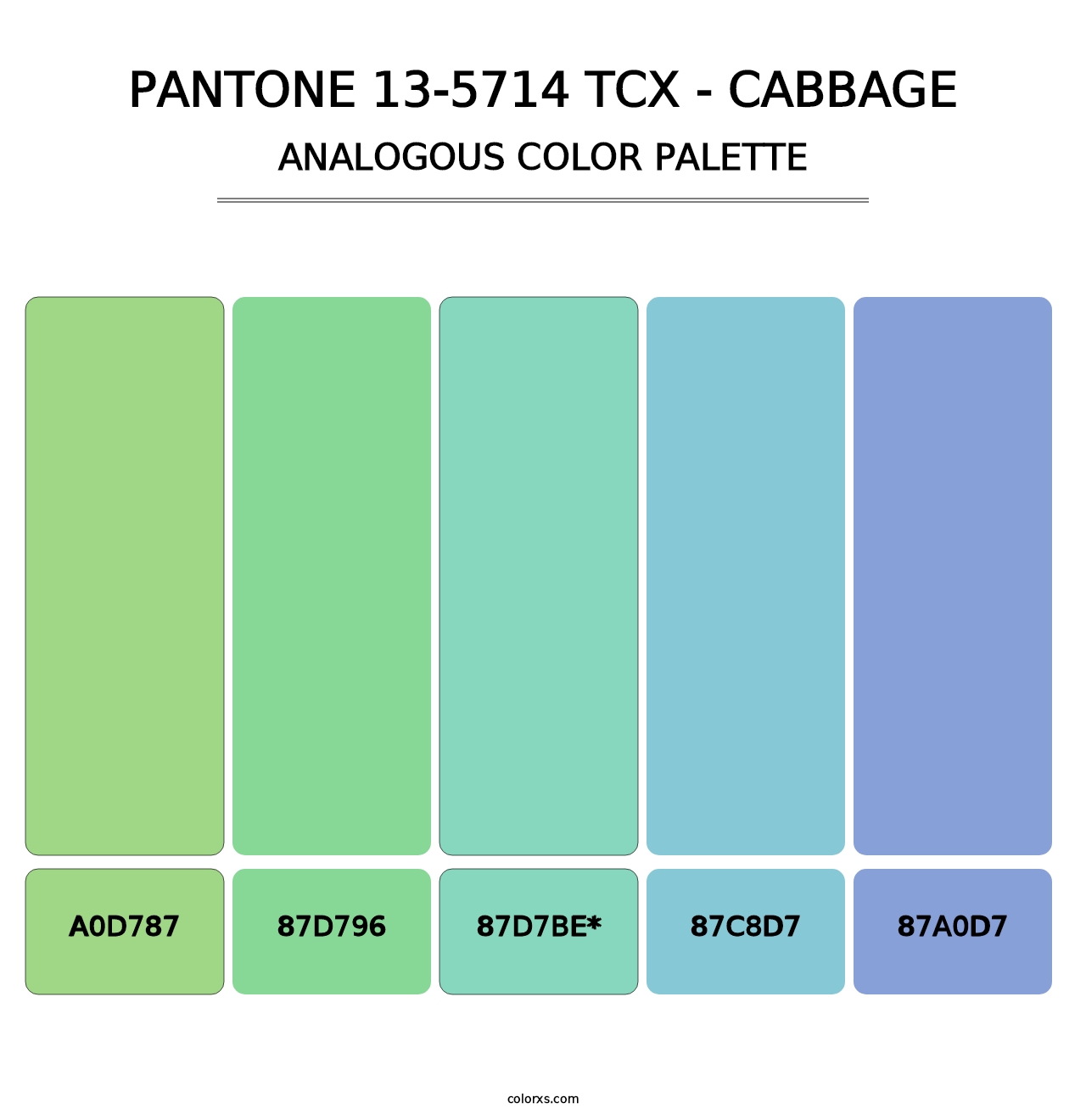 PANTONE 13-5714 TCX - Cabbage - Analogous Color Palette