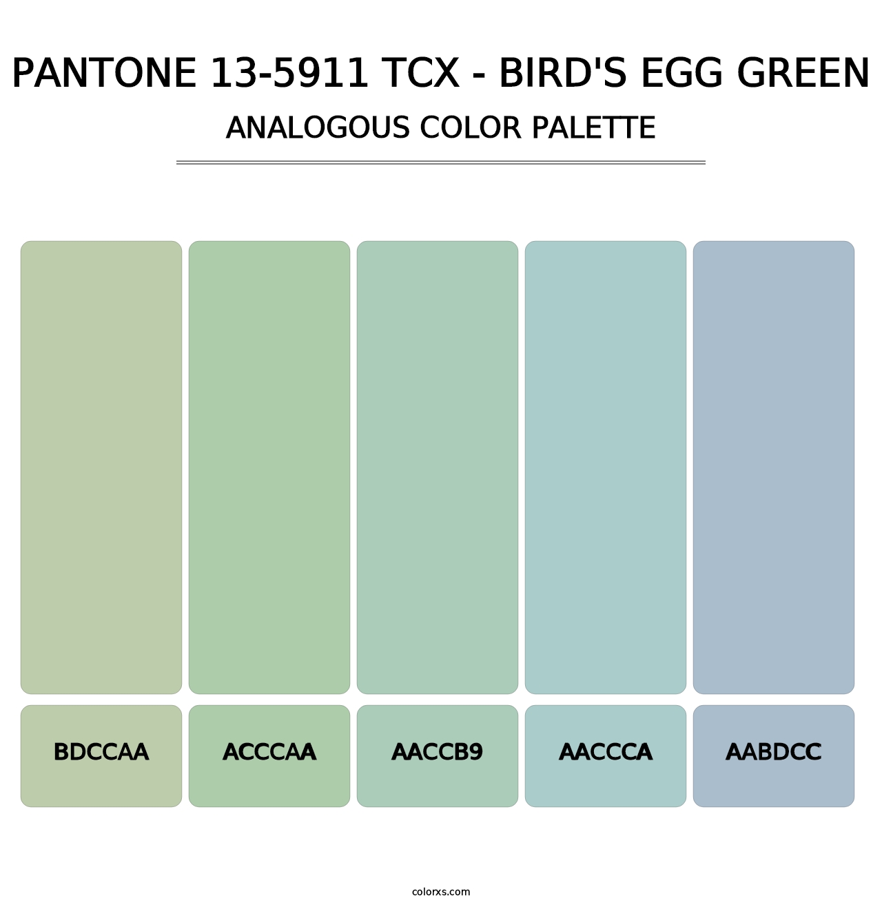 PANTONE 13-5911 TCX - Bird's Egg Green - Analogous Color Palette