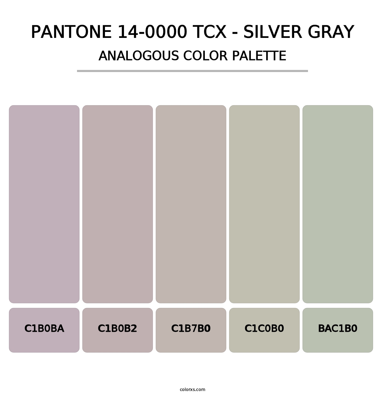 PANTONE 14-0000 TCX - Silver Gray - Analogous Color Palette