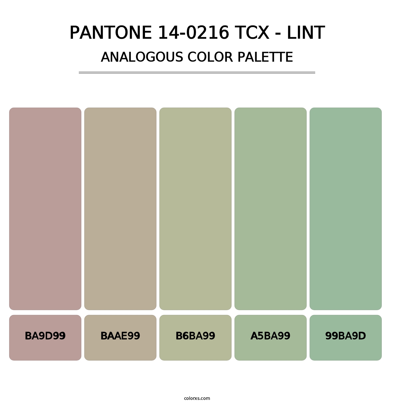 PANTONE 14-0216 TCX - Lint - Analogous Color Palette