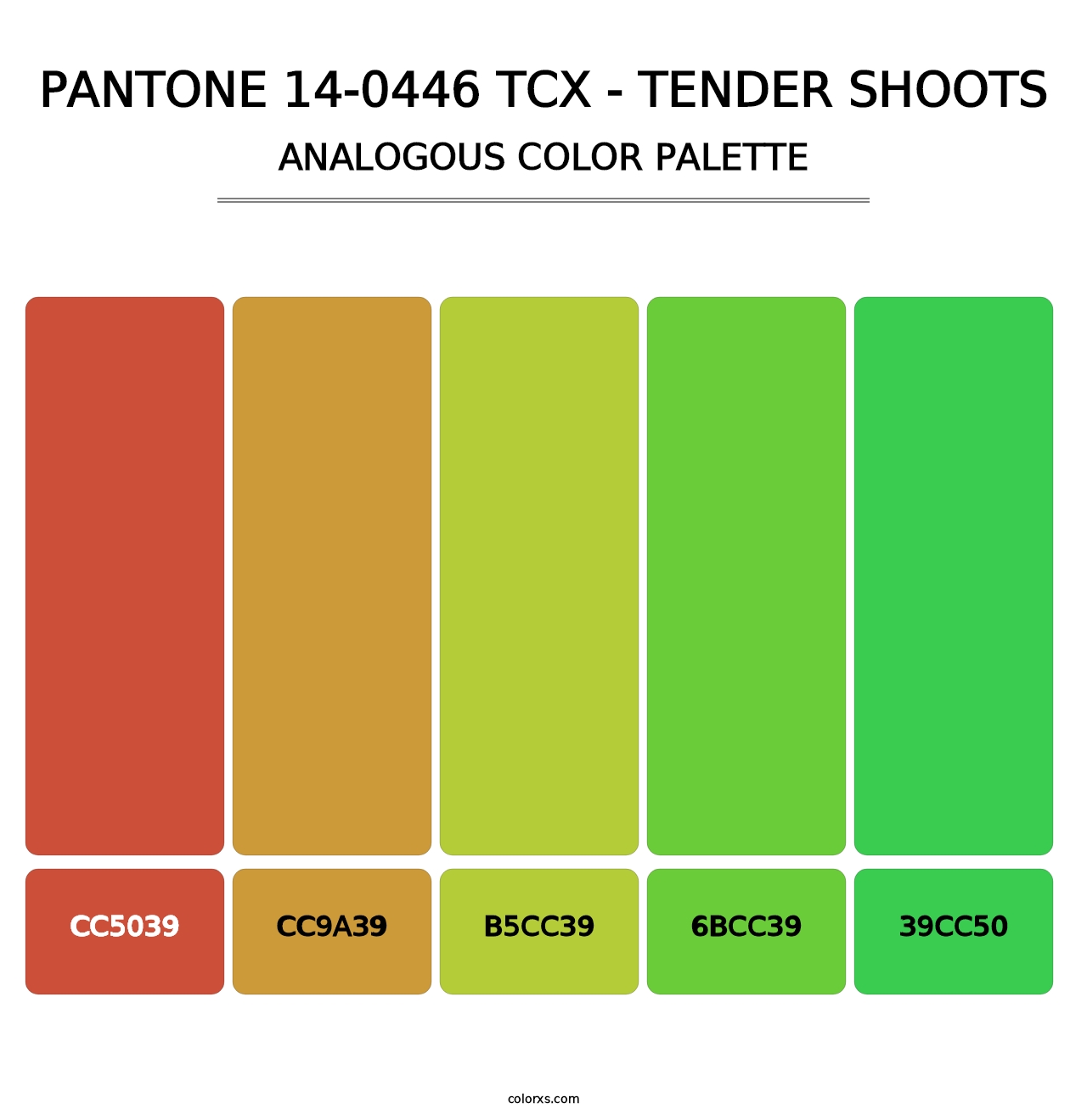 PANTONE 14-0446 TCX - Tender Shoots - Analogous Color Palette