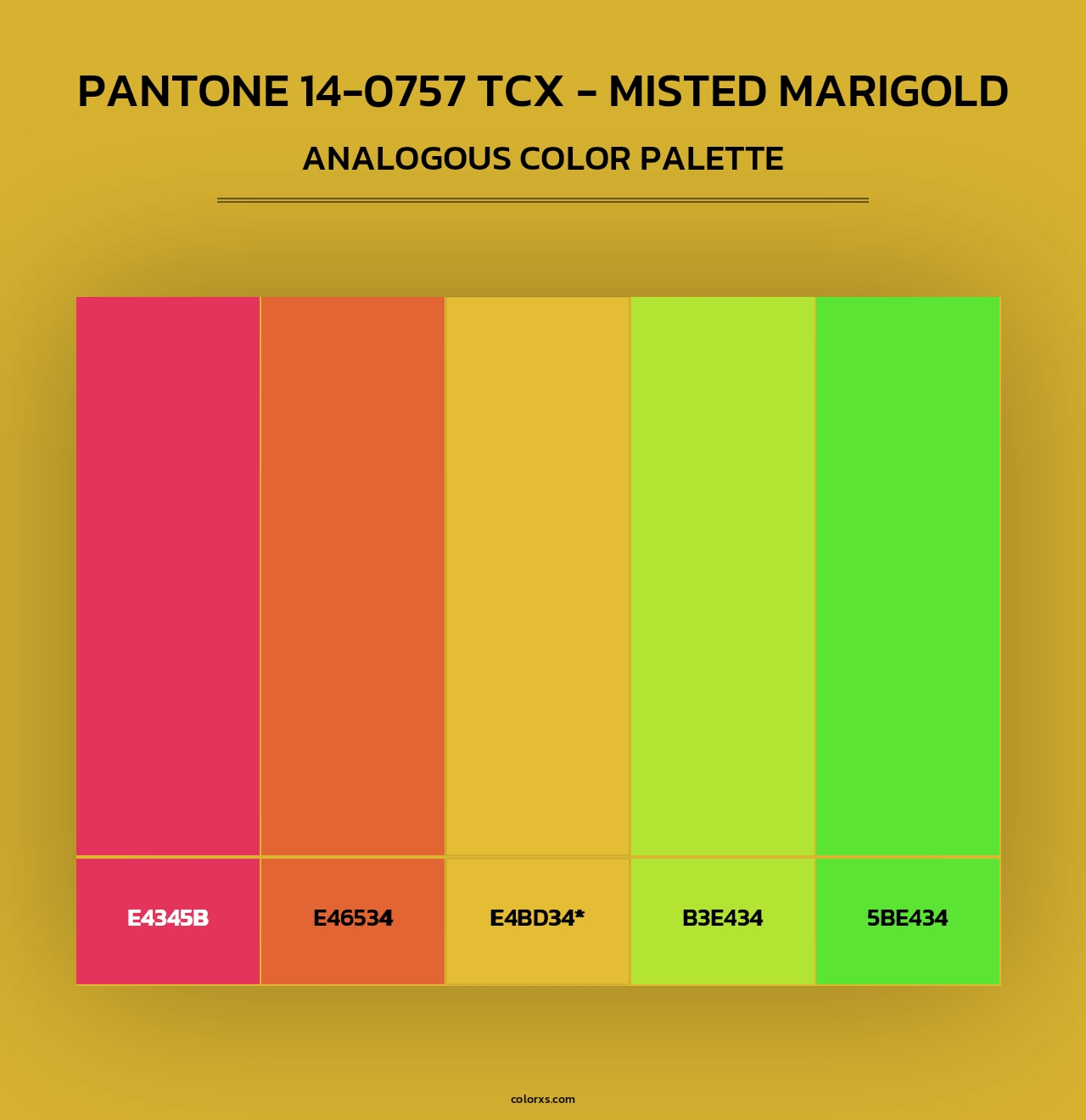PANTONE 14-0757 TCX - Misted Marigold - Analogous Color Palette
