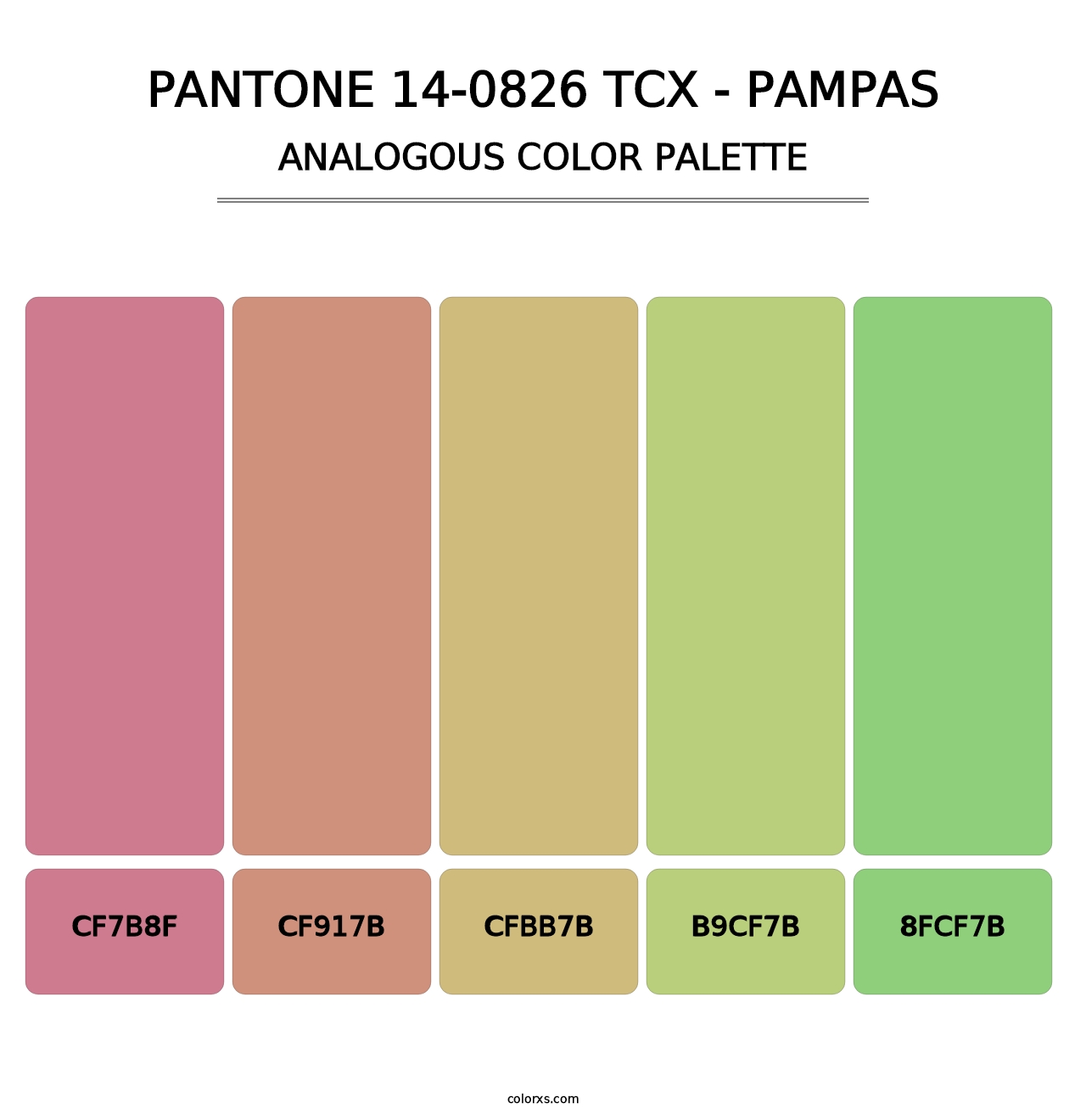 PANTONE 14-0826 TCX - Pampas - Analogous Color Palette