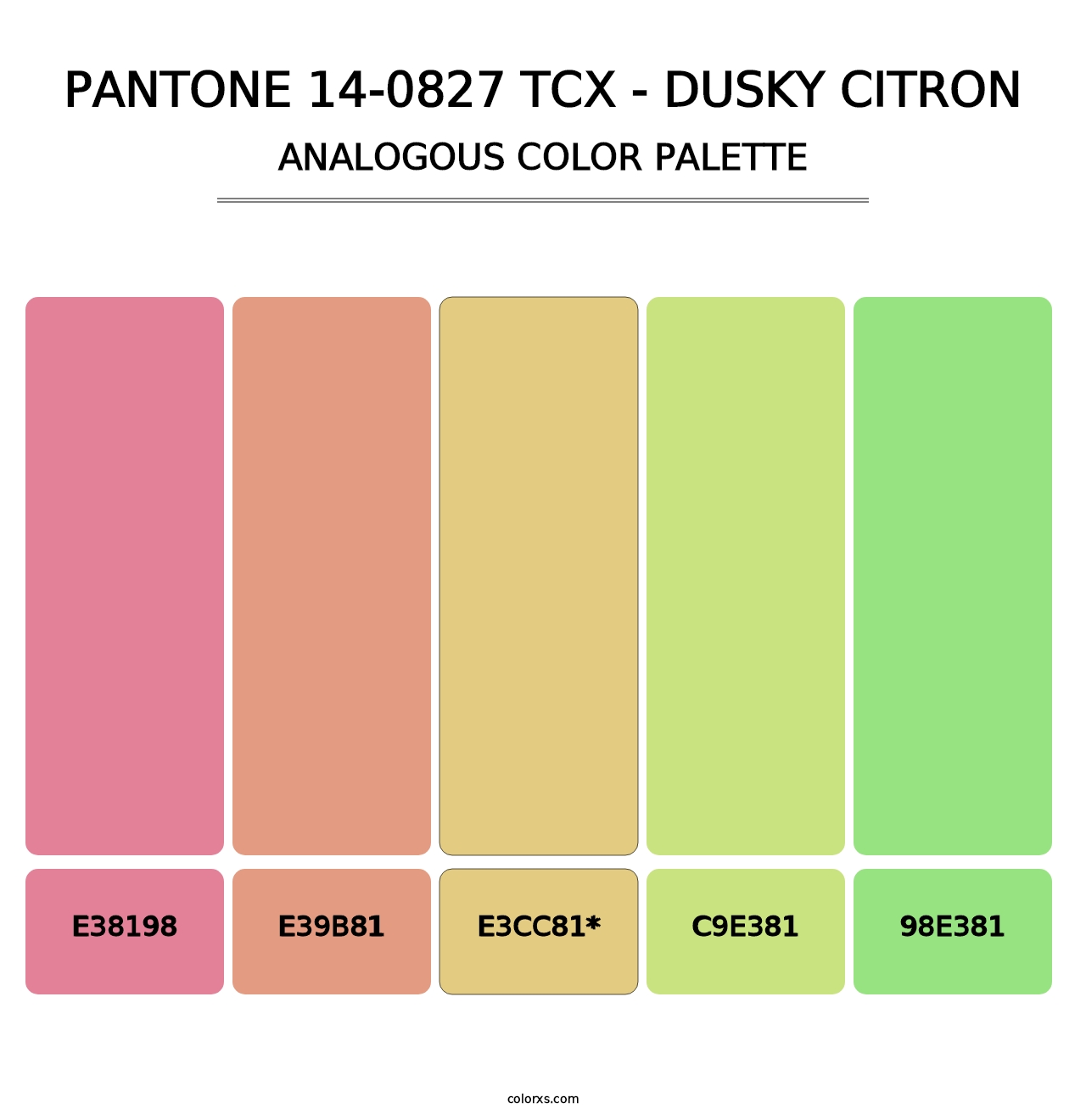 PANTONE 14-0827 TCX - Dusky Citron - Analogous Color Palette