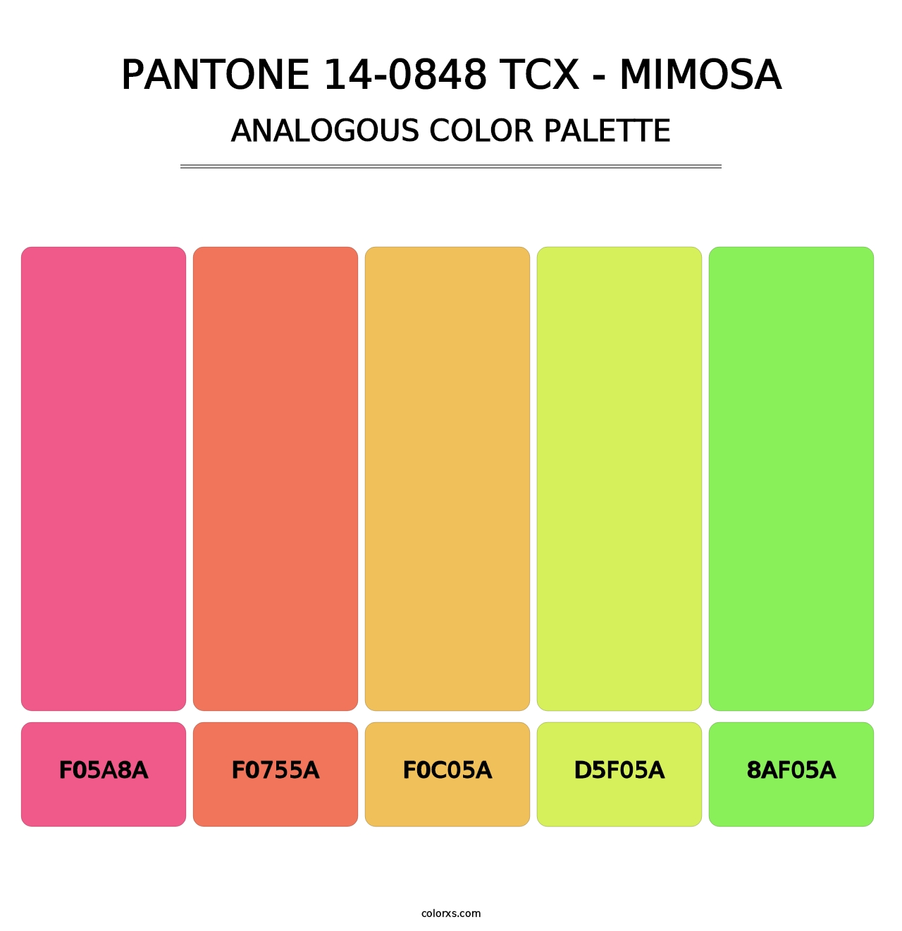 PANTONE 14-0848 TCX - Mimosa - Analogous Color Palette