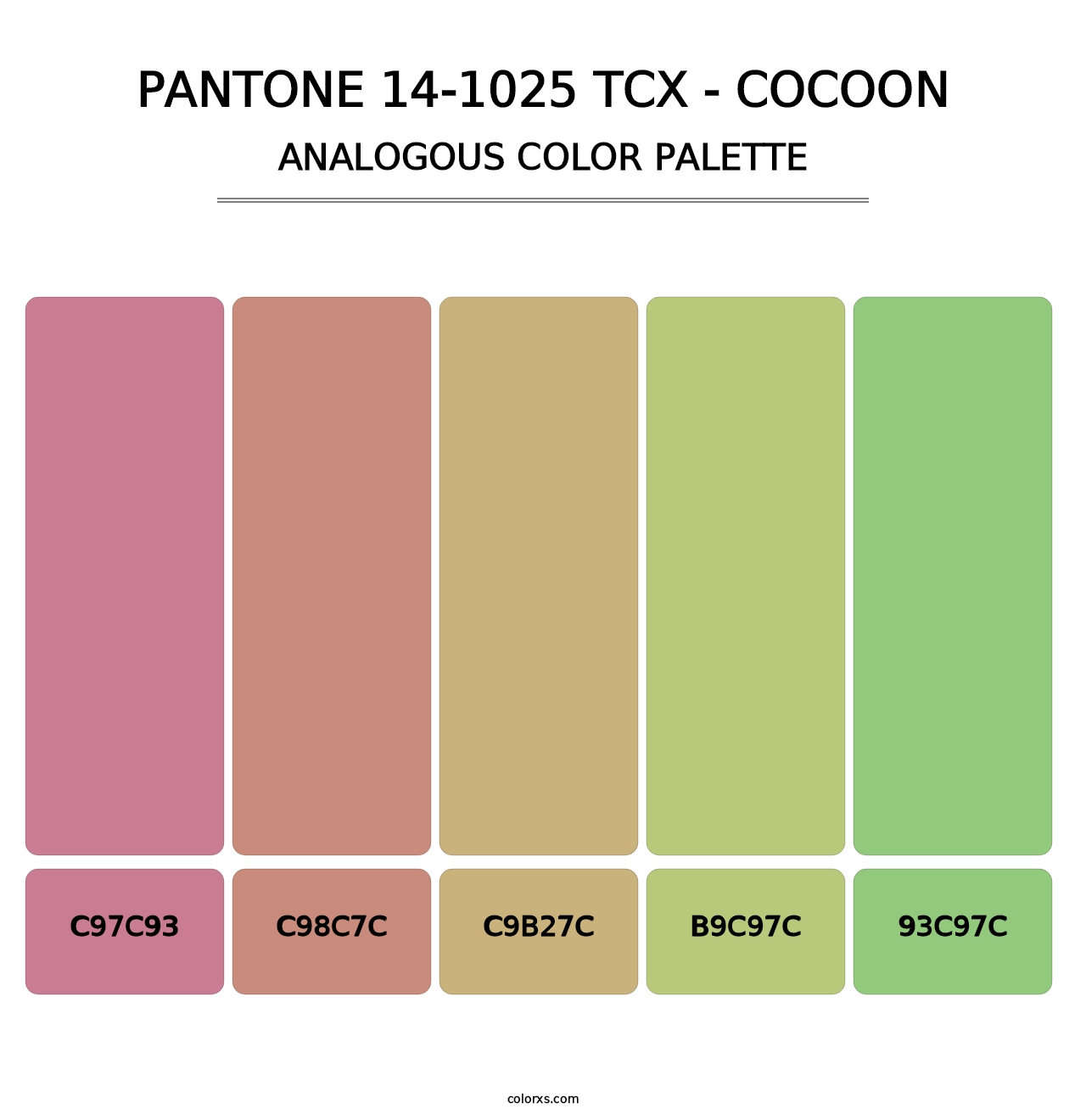 PANTONE 14-1025 TCX - Cocoon - Analogous Color Palette