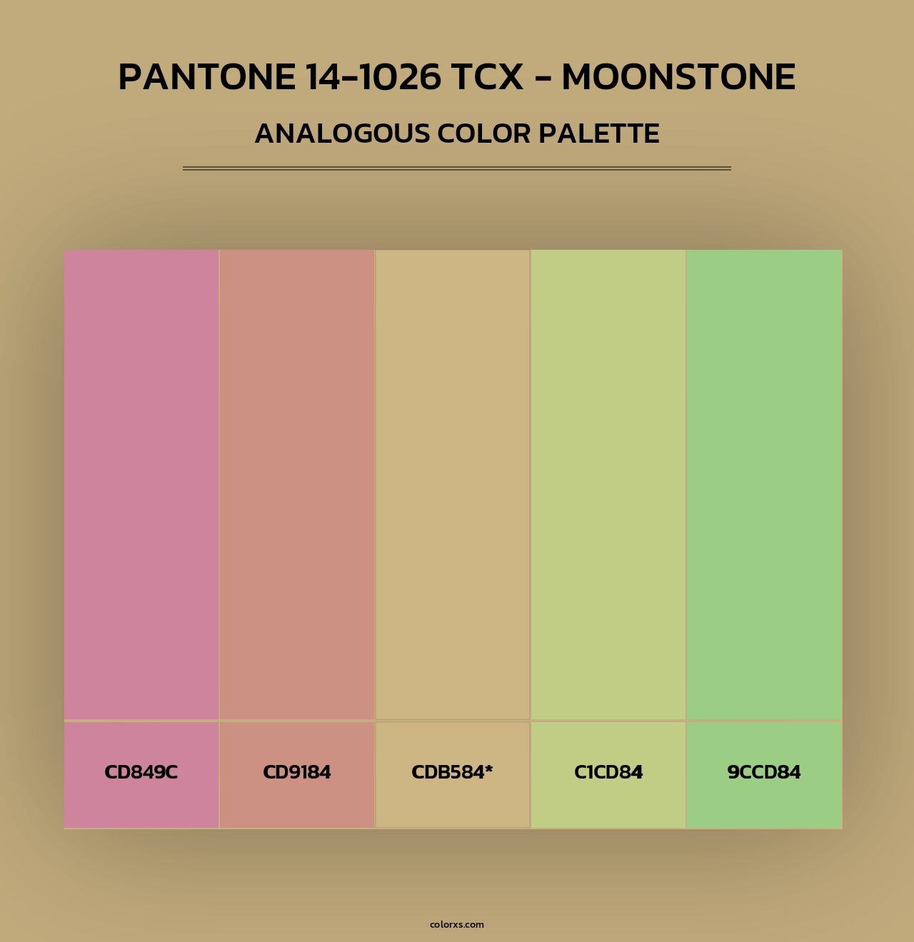 PANTONE 14-1026 TCX - Moonstone - Analogous Color Palette