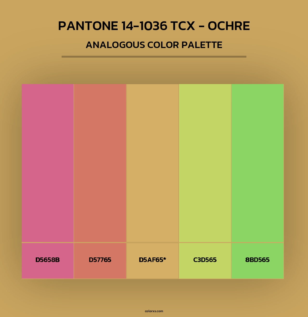Pantone 14-1036 TCX - Ochre - Analogous Color Palette