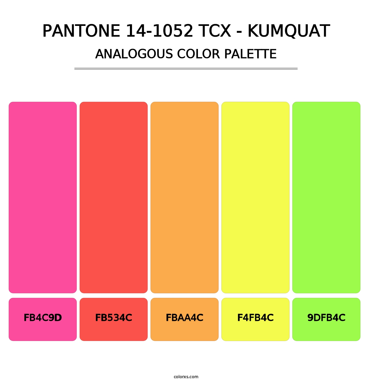 PANTONE 14-1052 TCX - Kumquat - Analogous Color Palette