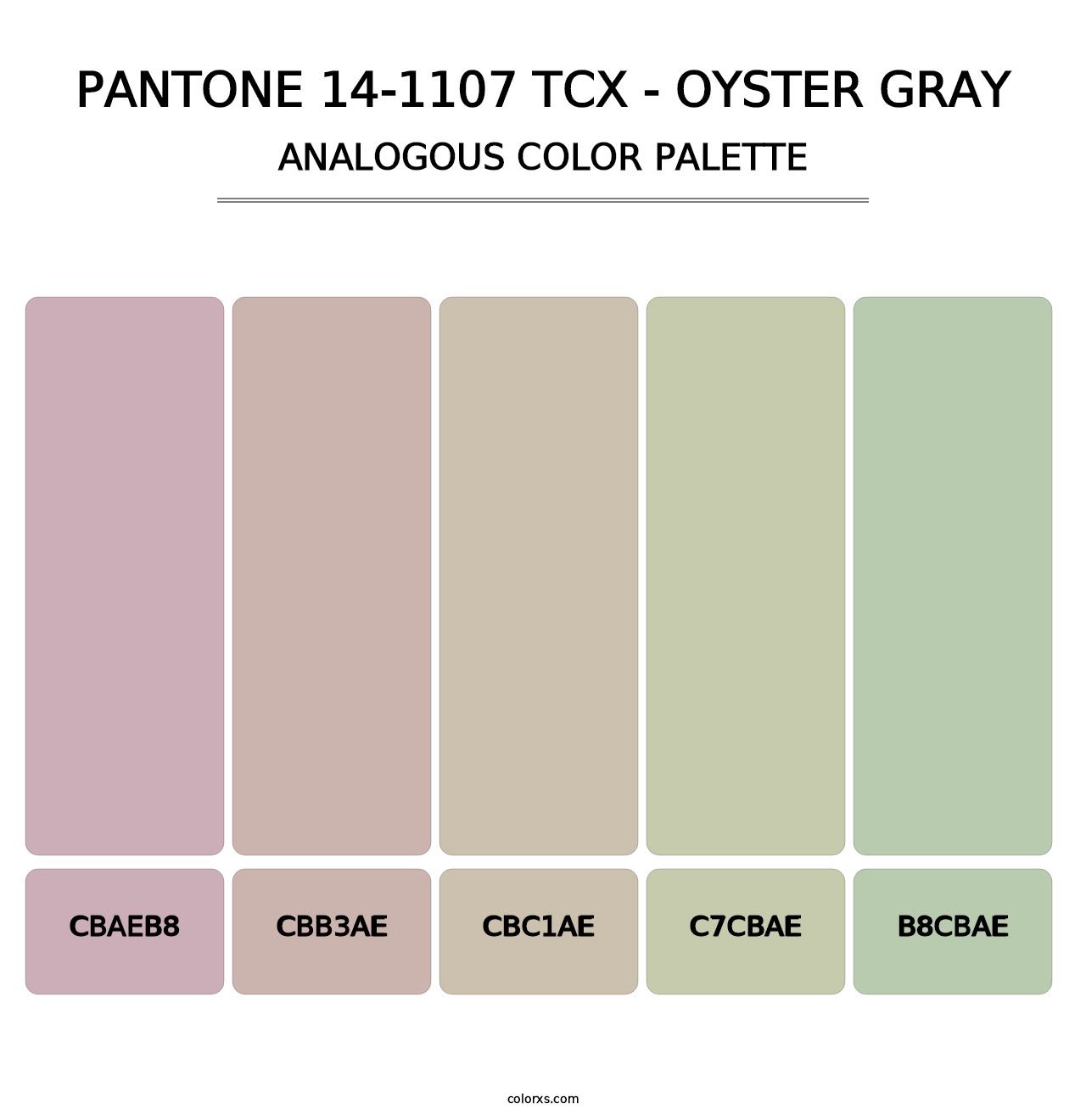 PANTONE 14-1107 TCX - Oyster Gray - Analogous Color Palette