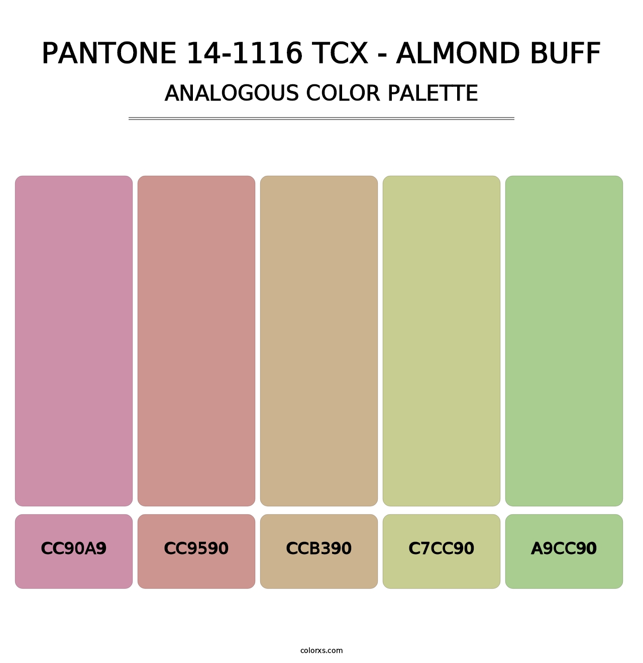 PANTONE 14-1116 TCX - Almond Buff - Analogous Color Palette