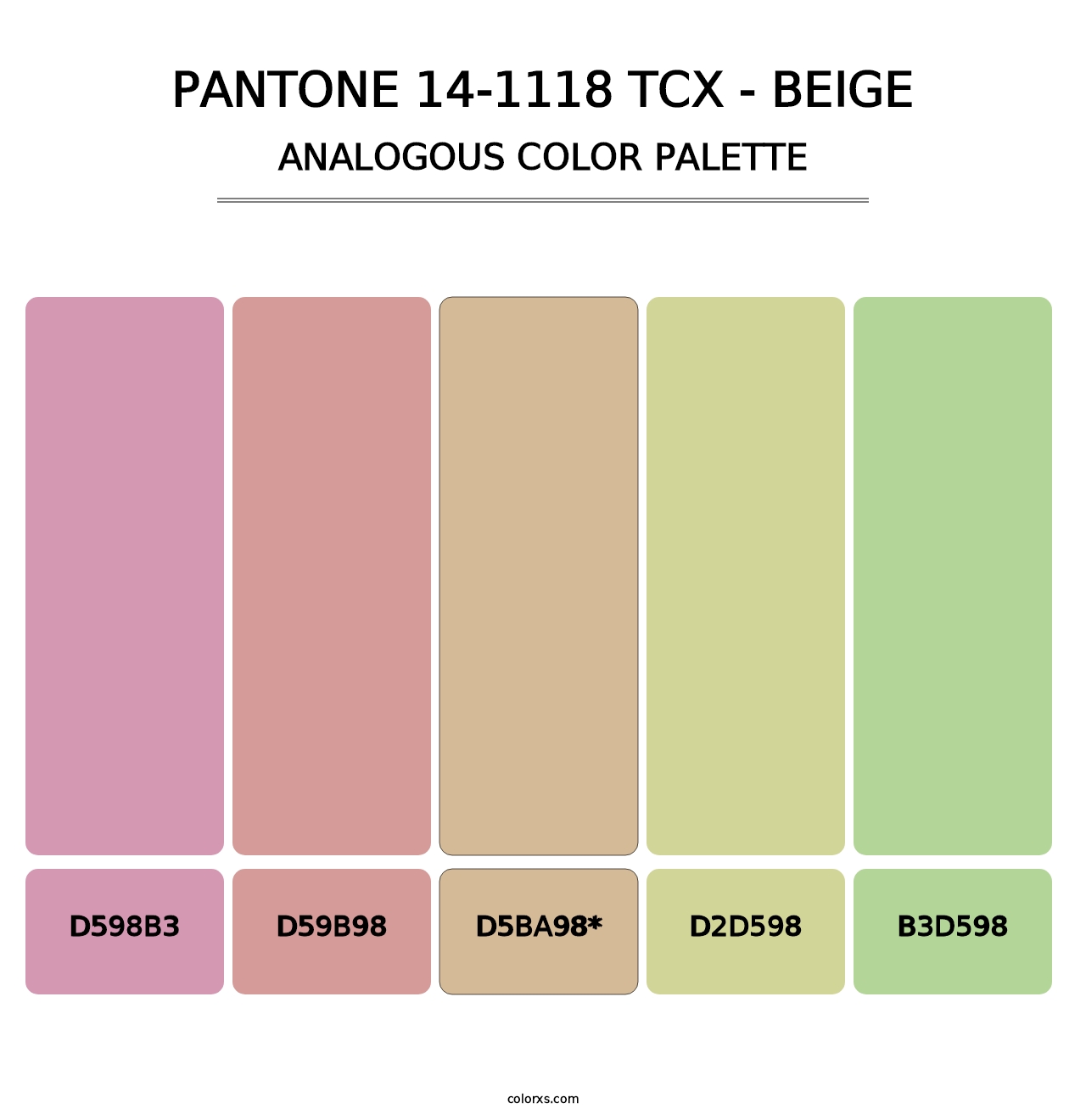 PANTONE 14-1118 TCX - Beige - Analogous Color Palette