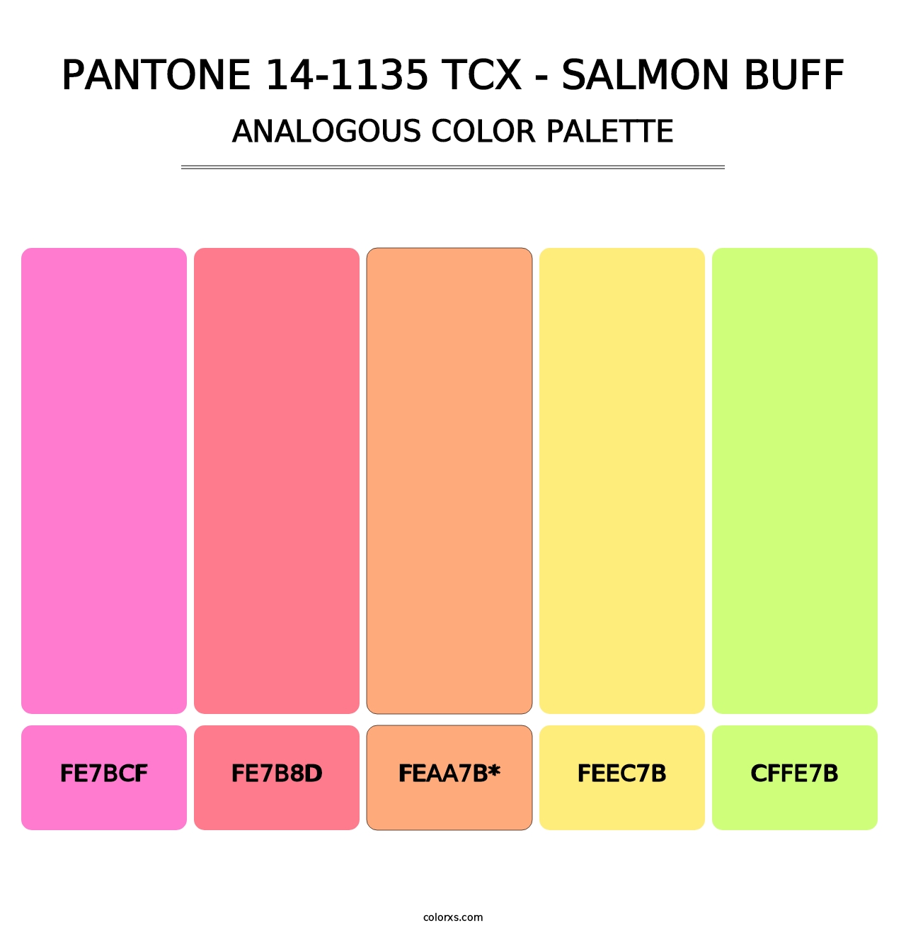 PANTONE 14-1135 TCX - Salmon Buff - Analogous Color Palette