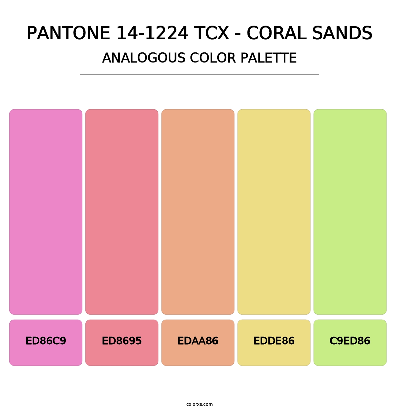 PANTONE 14-1224 TCX - Coral Sands - Analogous Color Palette