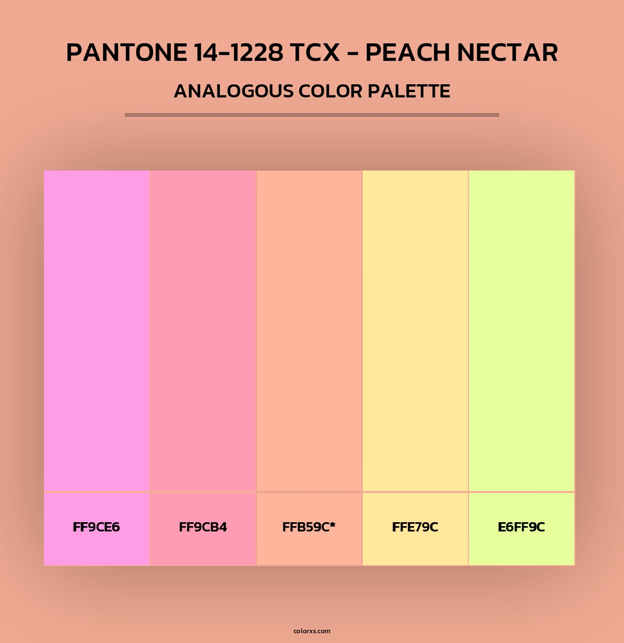 PANTONE 14-1228 TCX - Peach Nectar - Analogous Color Palette
