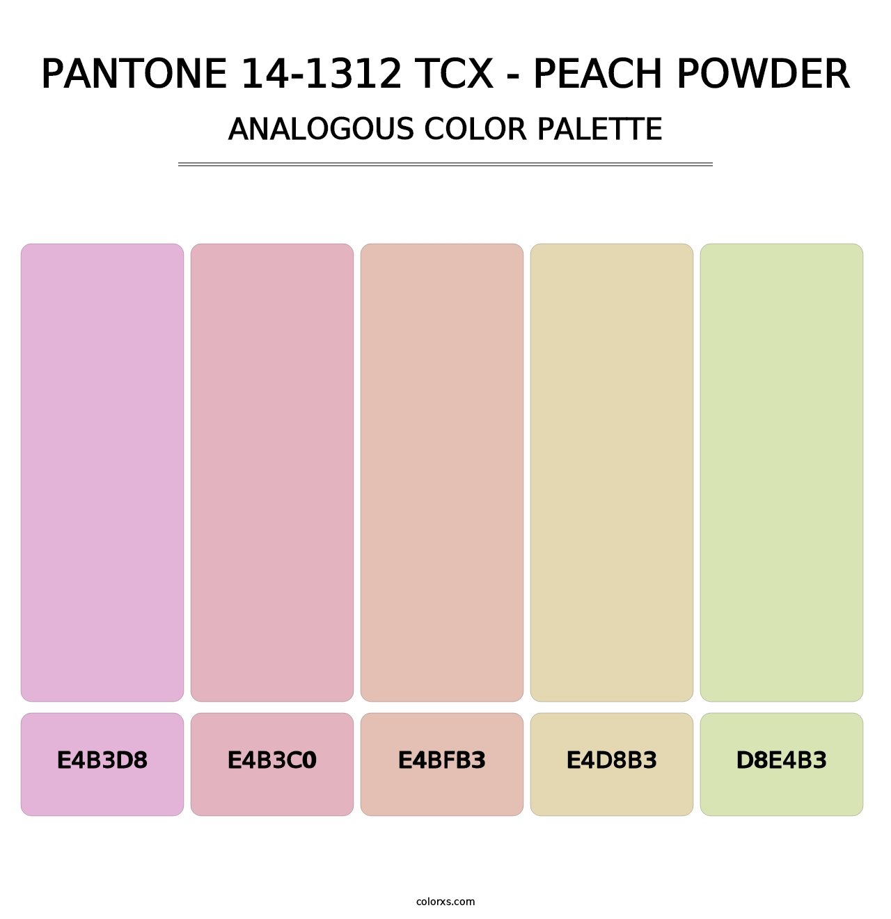 PANTONE 14-1312 TCX - Peach Powder - Analogous Color Palette