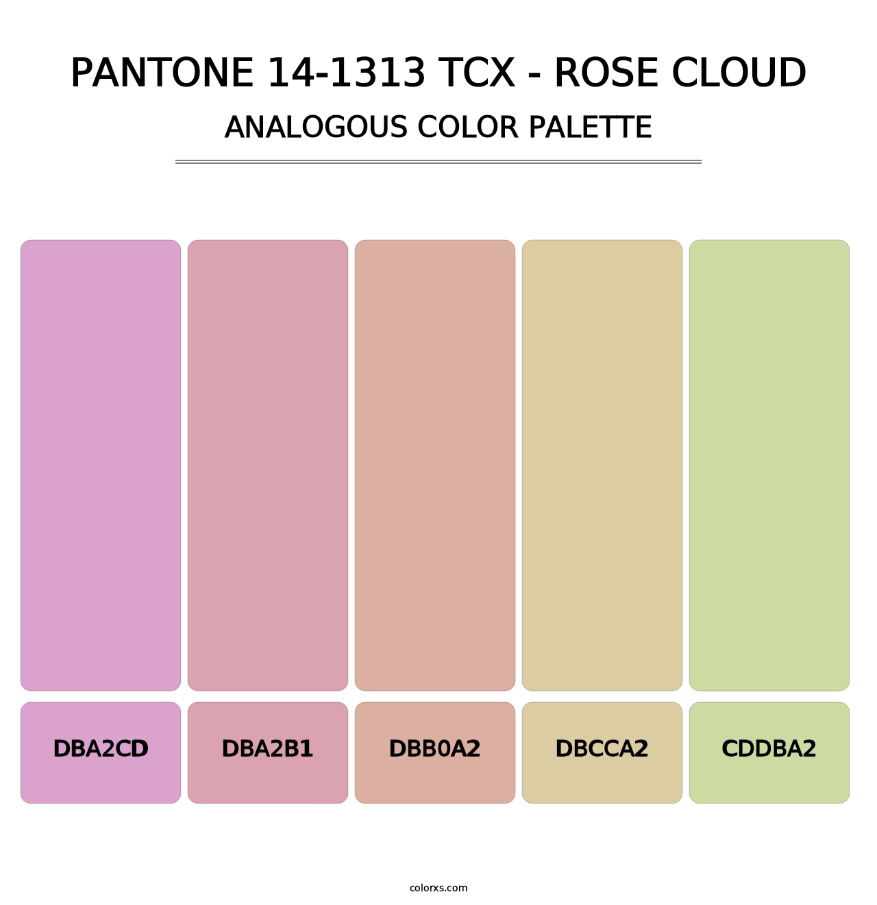 PANTONE 14-1313 TCX - Rose Cloud - Analogous Color Palette