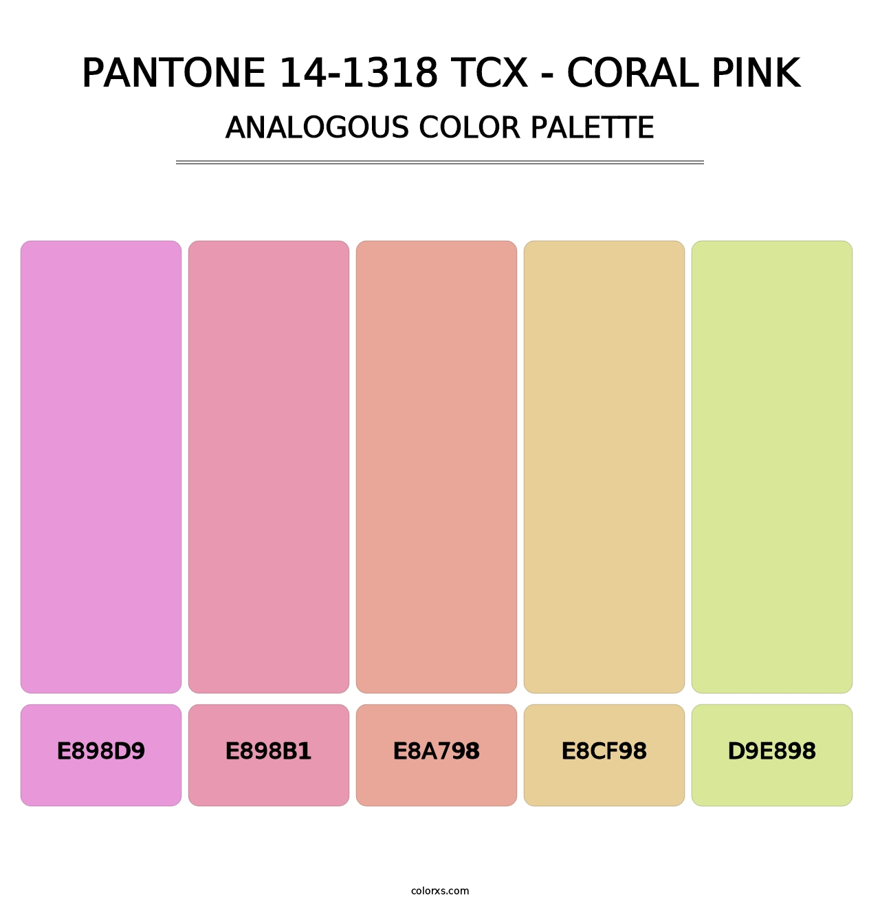 PANTONE 14-1318 TCX - Coral Pink - Analogous Color Palette
