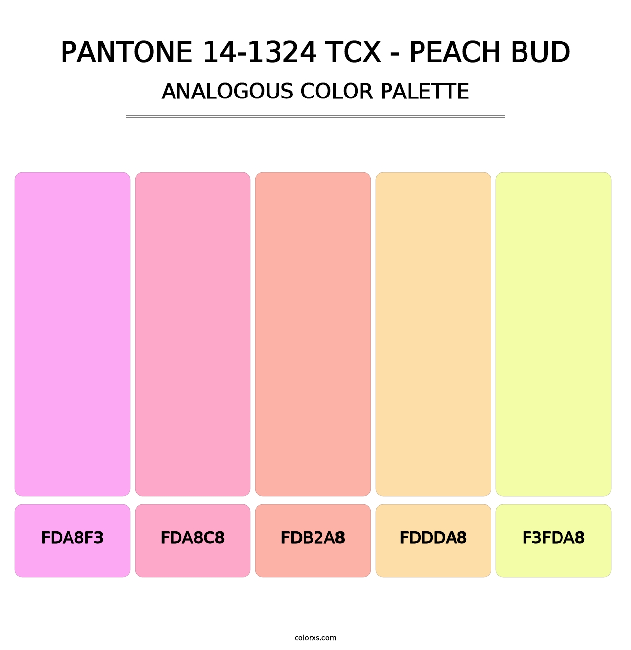 PANTONE 14-1324 TCX - Peach Bud - Analogous Color Palette