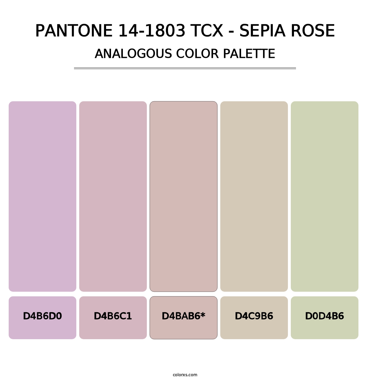 PANTONE 14-1803 TCX - Sepia Rose - Analogous Color Palette