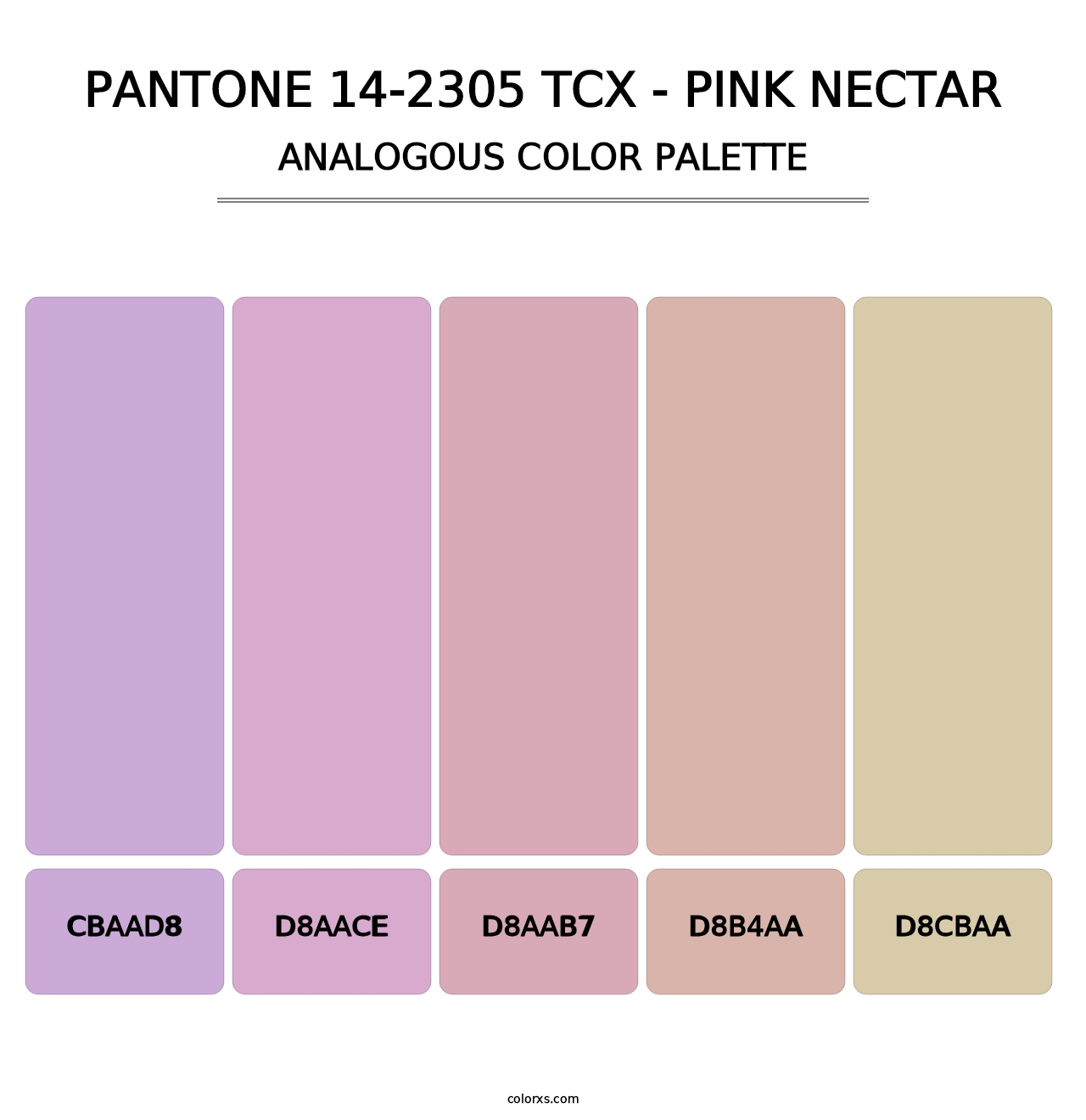PANTONE 14-2305 TCX - Pink Nectar - Analogous Color Palette