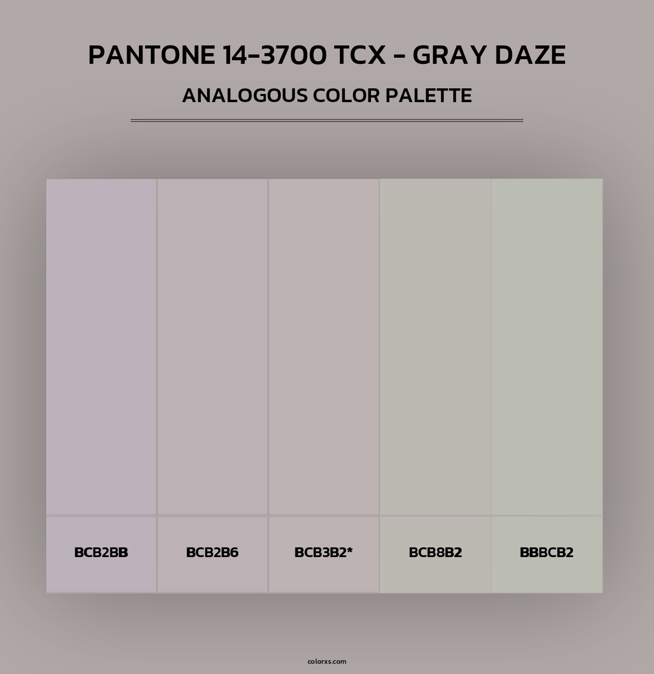 PANTONE 14-3700 TCX - Gray Daze - Analogous Color Palette