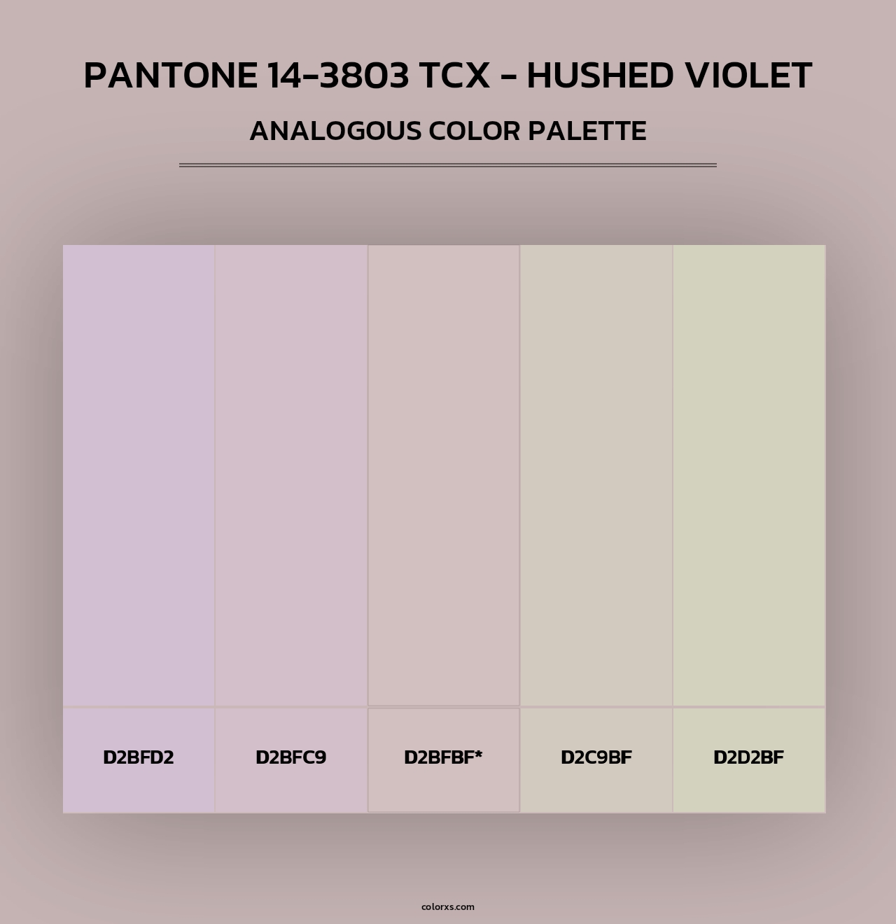 PANTONE 14-3803 TCX - Hushed Violet - Analogous Color Palette