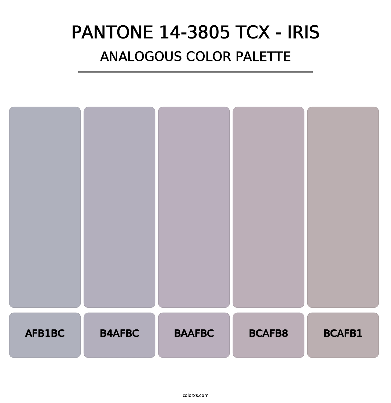 PANTONE 14-3805 TCX - Iris - Analogous Color Palette