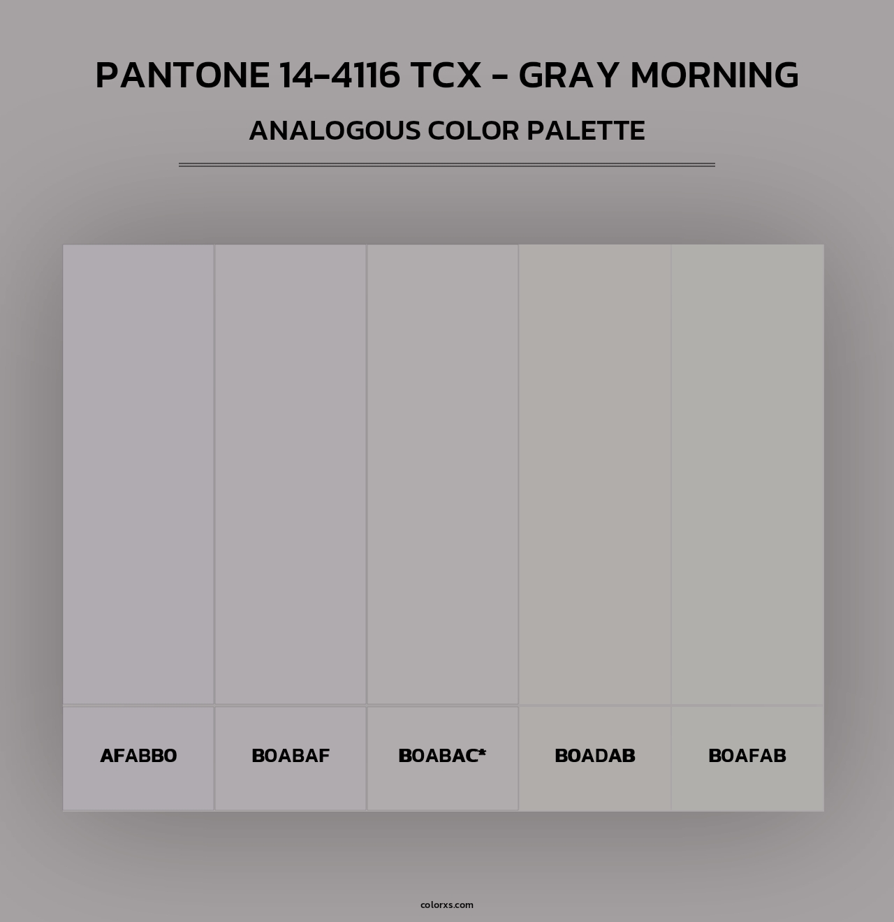 PANTONE 14-4116 TCX - Gray Morning - Analogous Color Palette