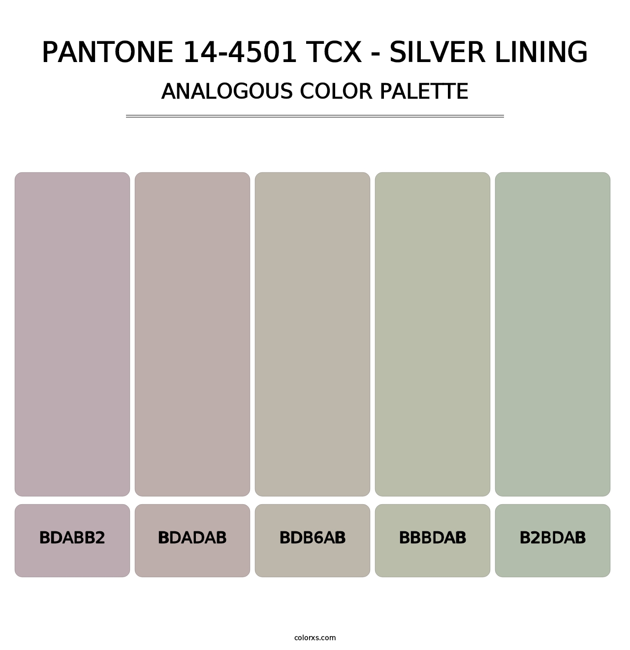 PANTONE 14-4501 TCX - Silver Lining - Analogous Color Palette