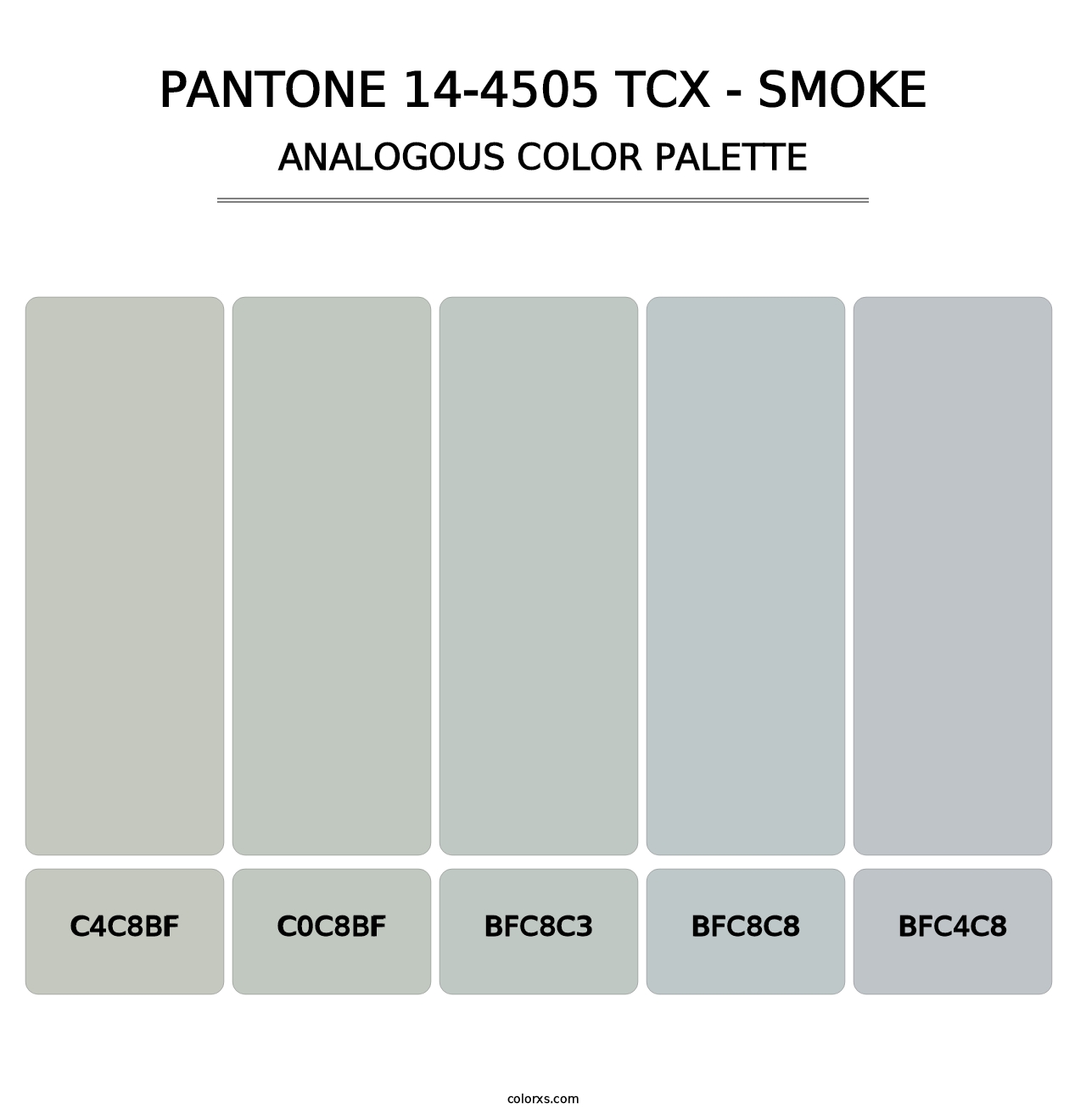 PANTONE 14-4505 TCX - Smoke - Analogous Color Palette