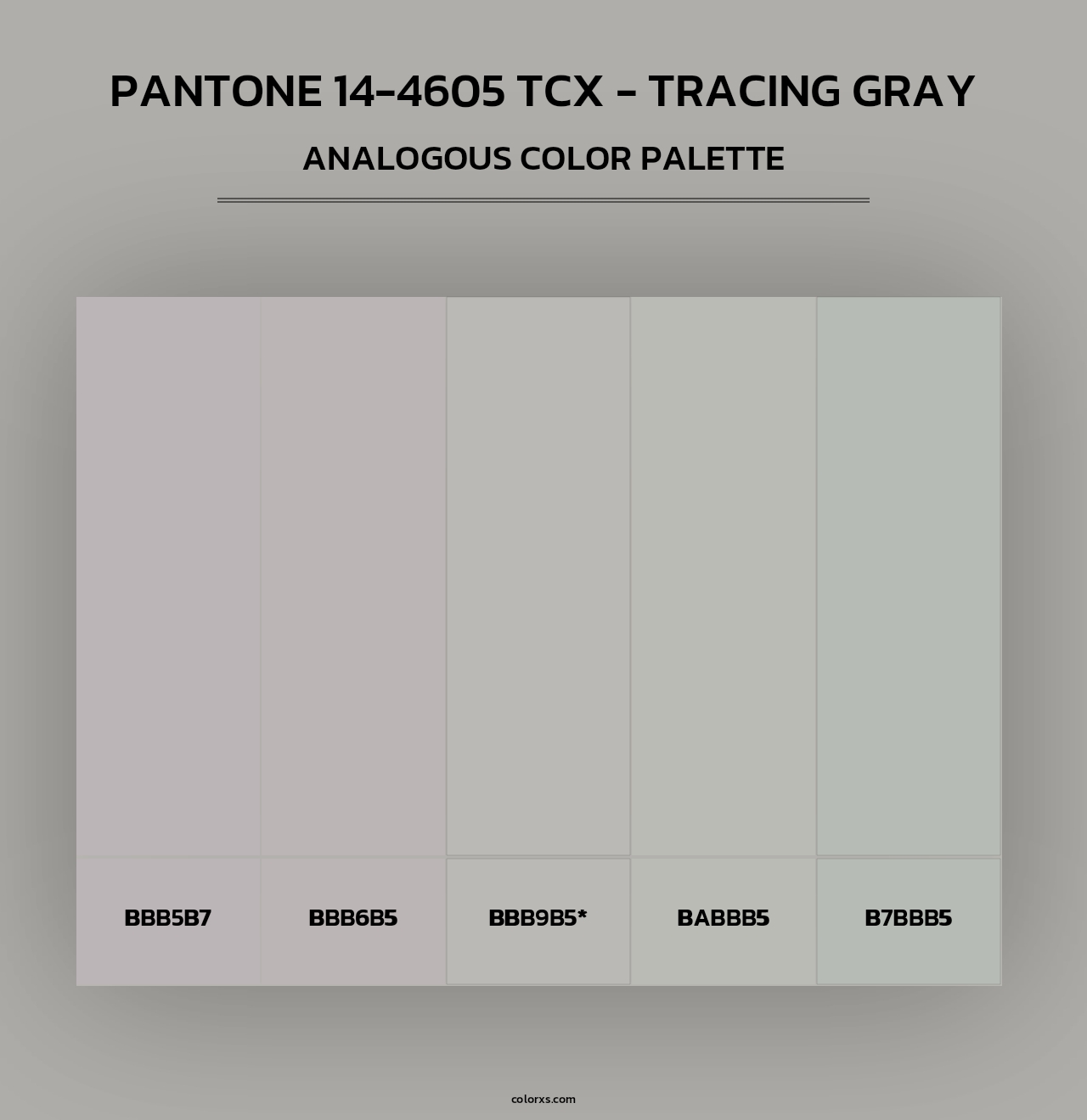 PANTONE 14-4605 TCX - Tracing Gray - Analogous Color Palette