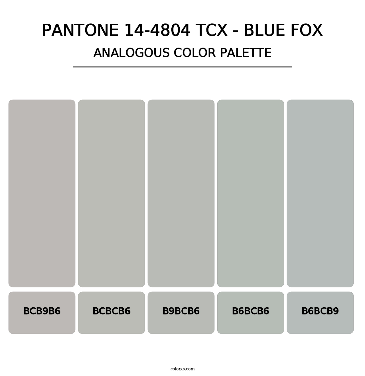 PANTONE 14-4804 TCX - Blue Fox - Analogous Color Palette