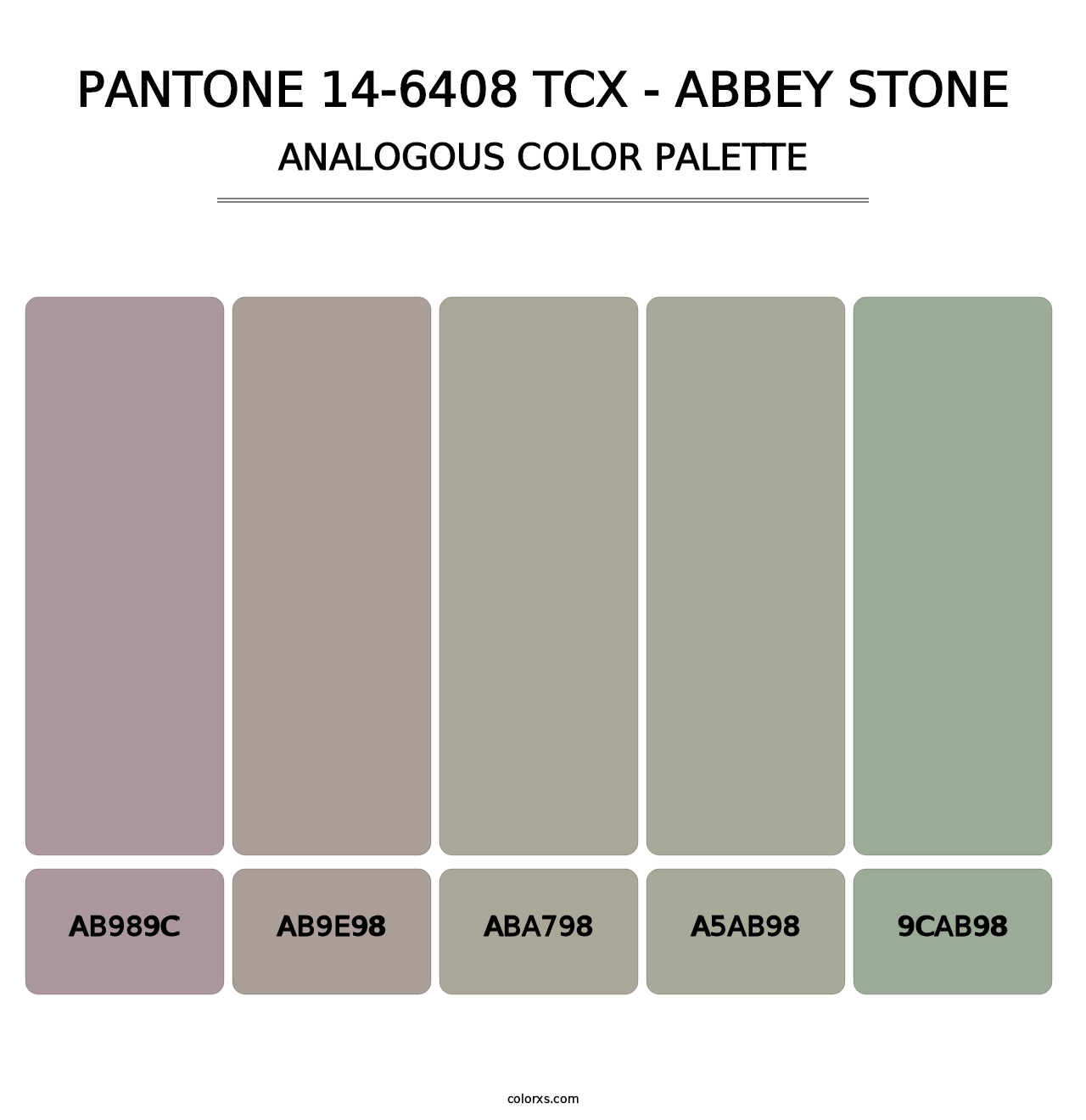 PANTONE 14-6408 TCX - Abbey Stone - Analogous Color Palette