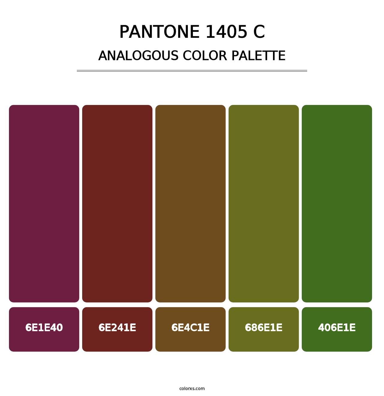 PANTONE 1405 C - Analogous Color Palette