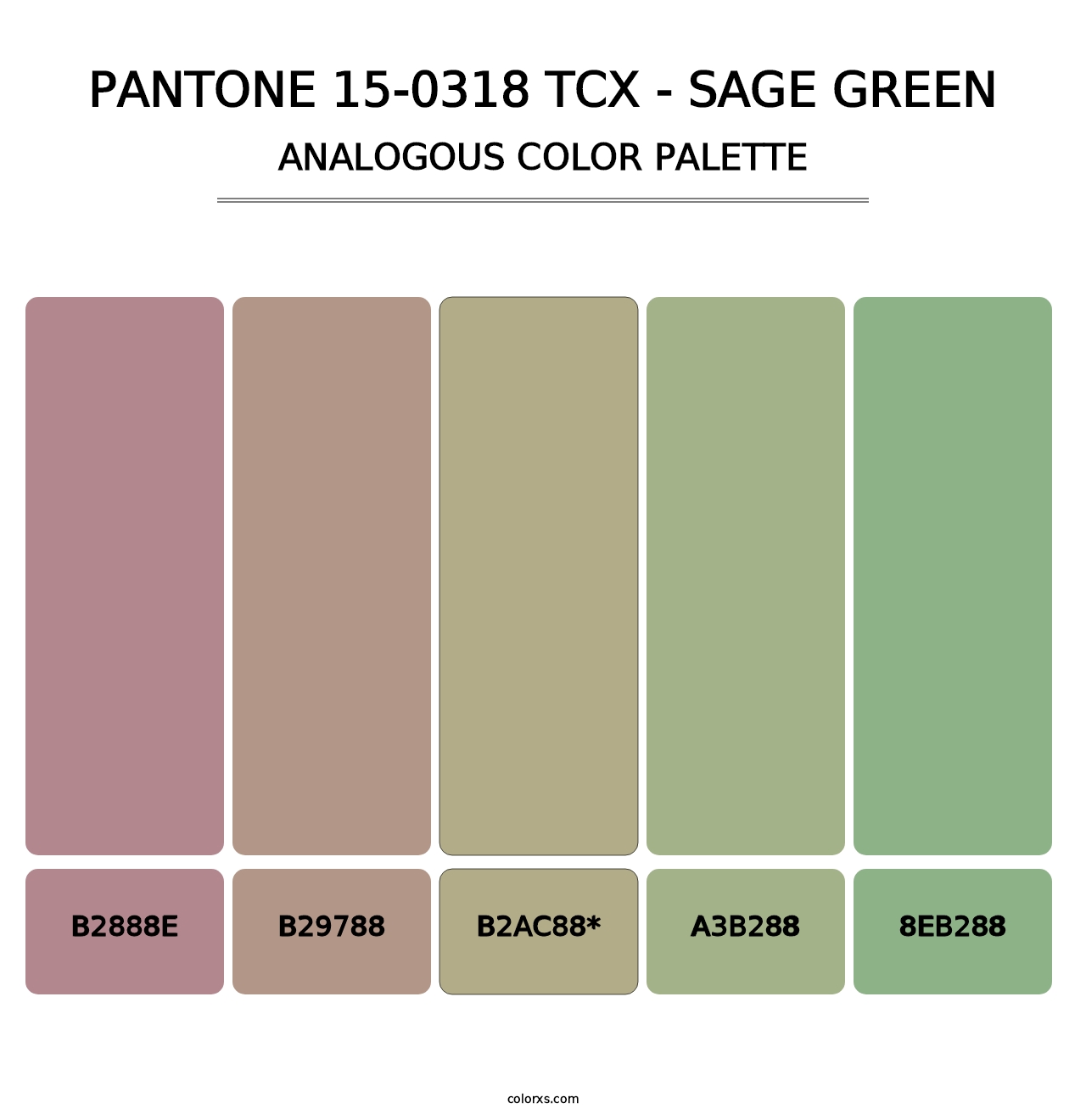 PANTONE 15-0318 TCX - Sage Green - Analogous Color Palette