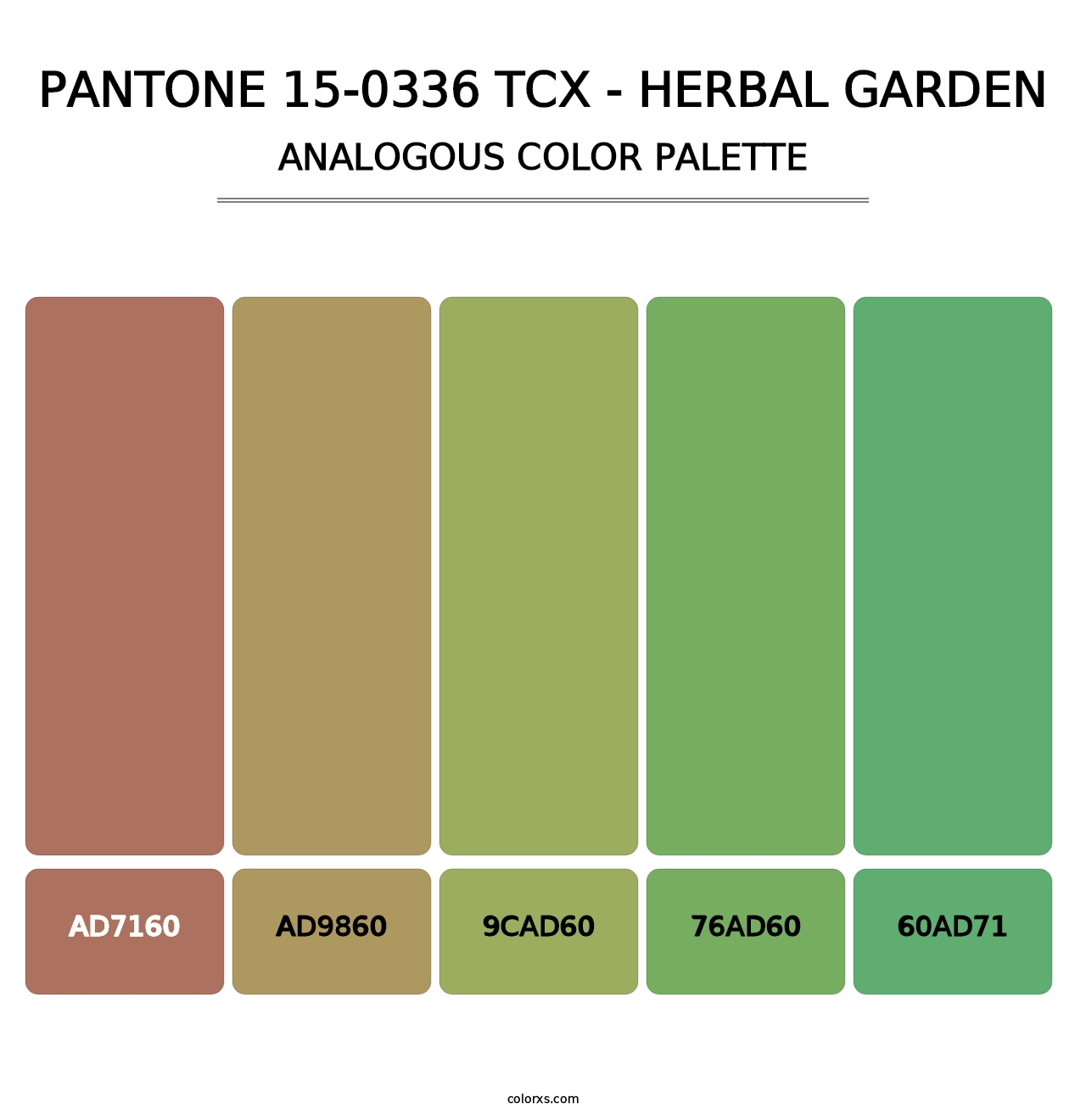 PANTONE 15-0336 TCX - Herbal Garden - Analogous Color Palette