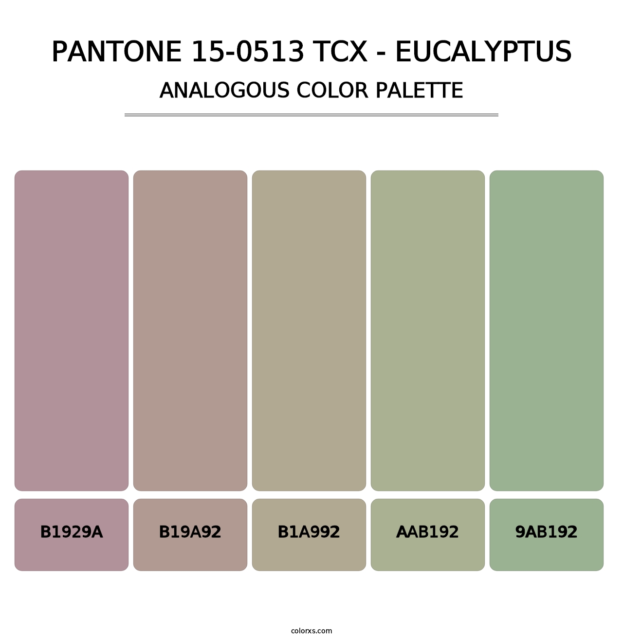PANTONE 15-0513 TCX - Eucalyptus - Analogous Color Palette