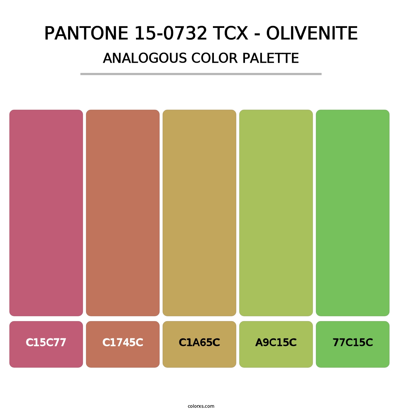 PANTONE 15-0732 TCX - Olivenite - Analogous Color Palette