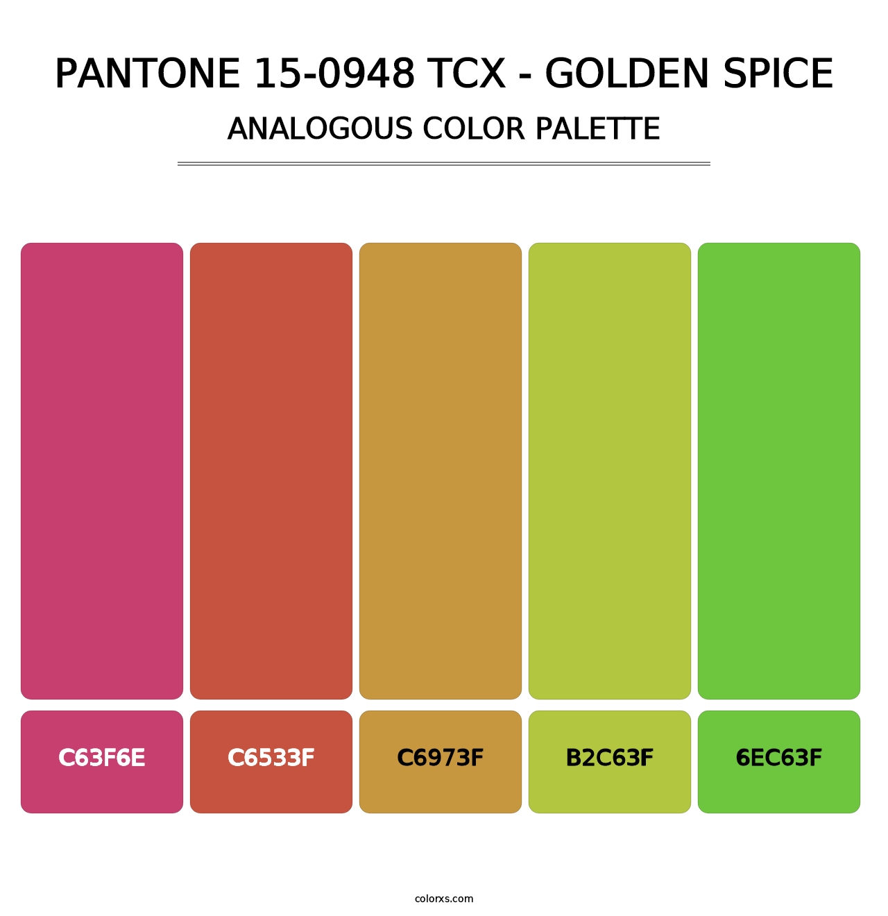 PANTONE 15-0948 TCX - Golden Spice - Analogous Color Palette