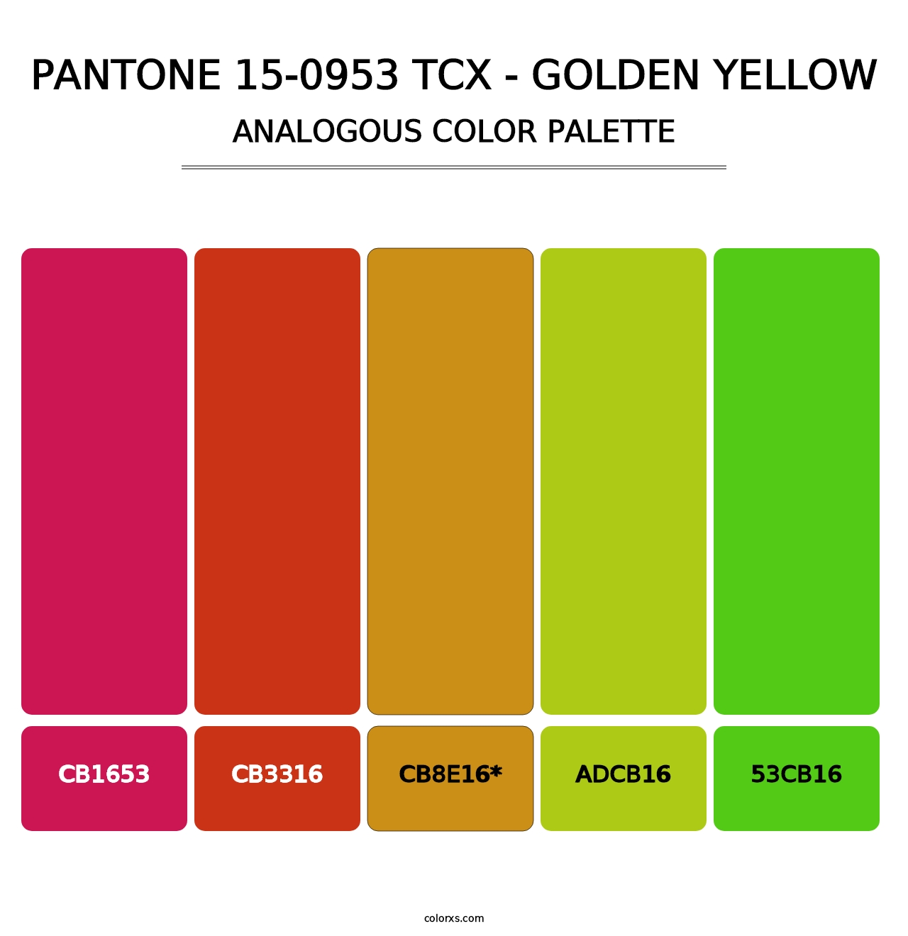 PANTONE 15-0953 TCX - Golden Yellow - Analogous Color Palette