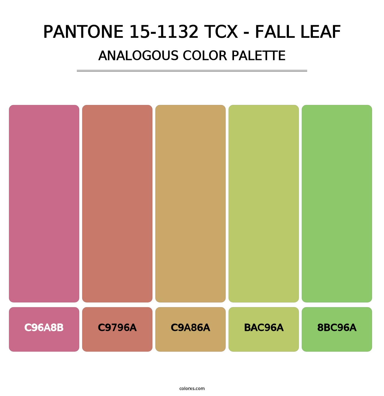 PANTONE 15-1132 TCX - Fall Leaf - Analogous Color Palette