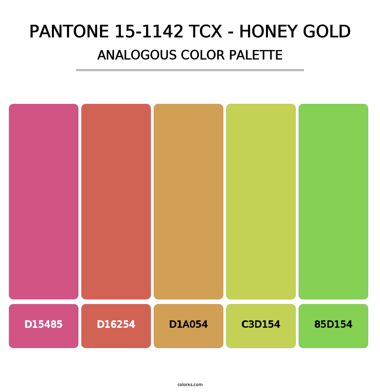 PANTONE 15-1142 TCX - Honey Gold - Analogous Color Palette