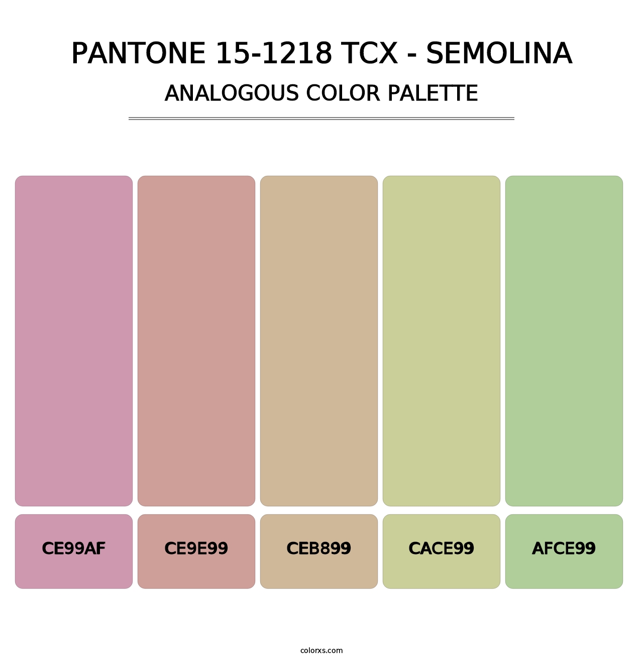 PANTONE 15-1218 TCX - Semolina - Analogous Color Palette