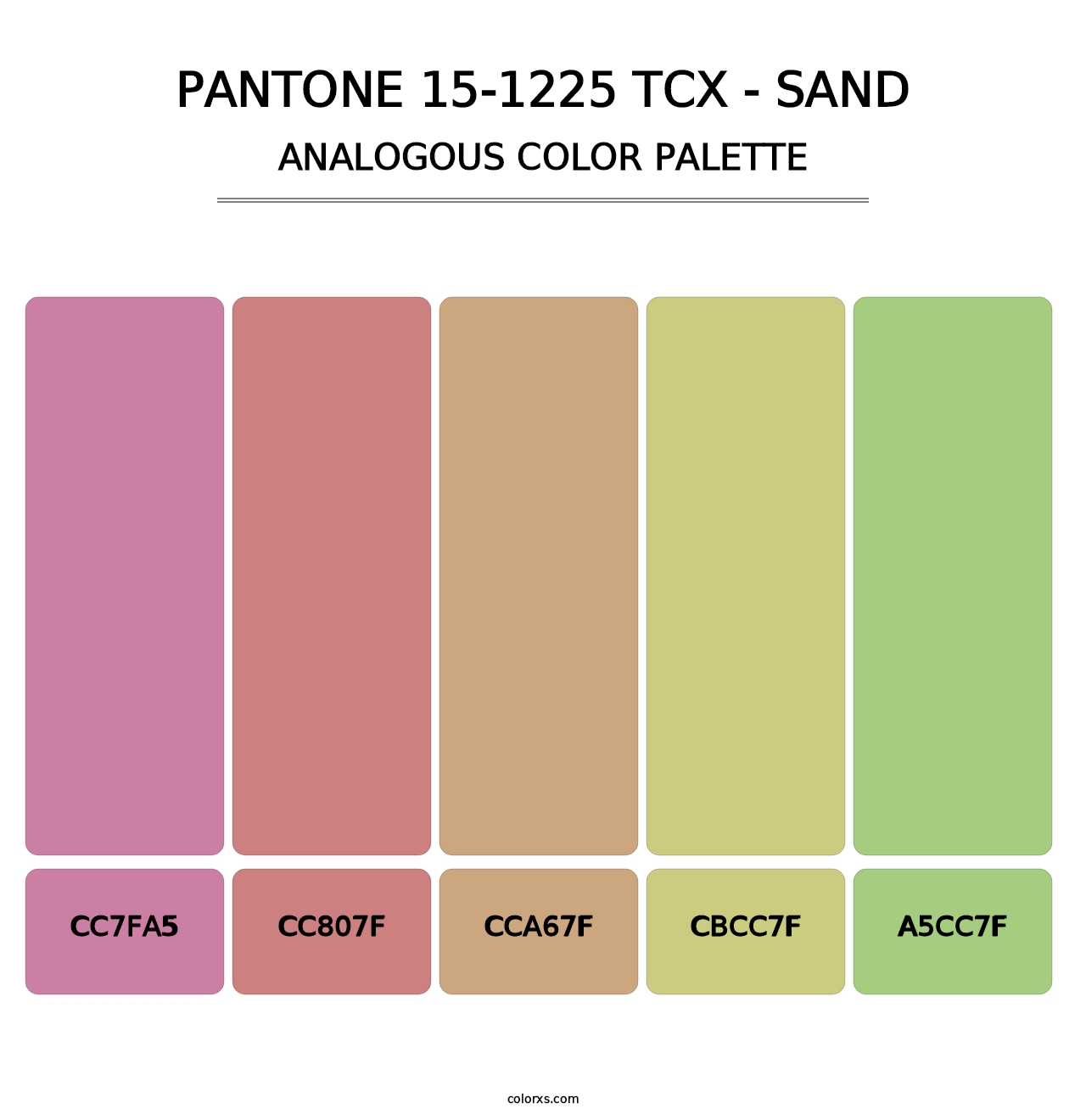 PANTONE 15-1225 TCX - Sand - Analogous Color Palette